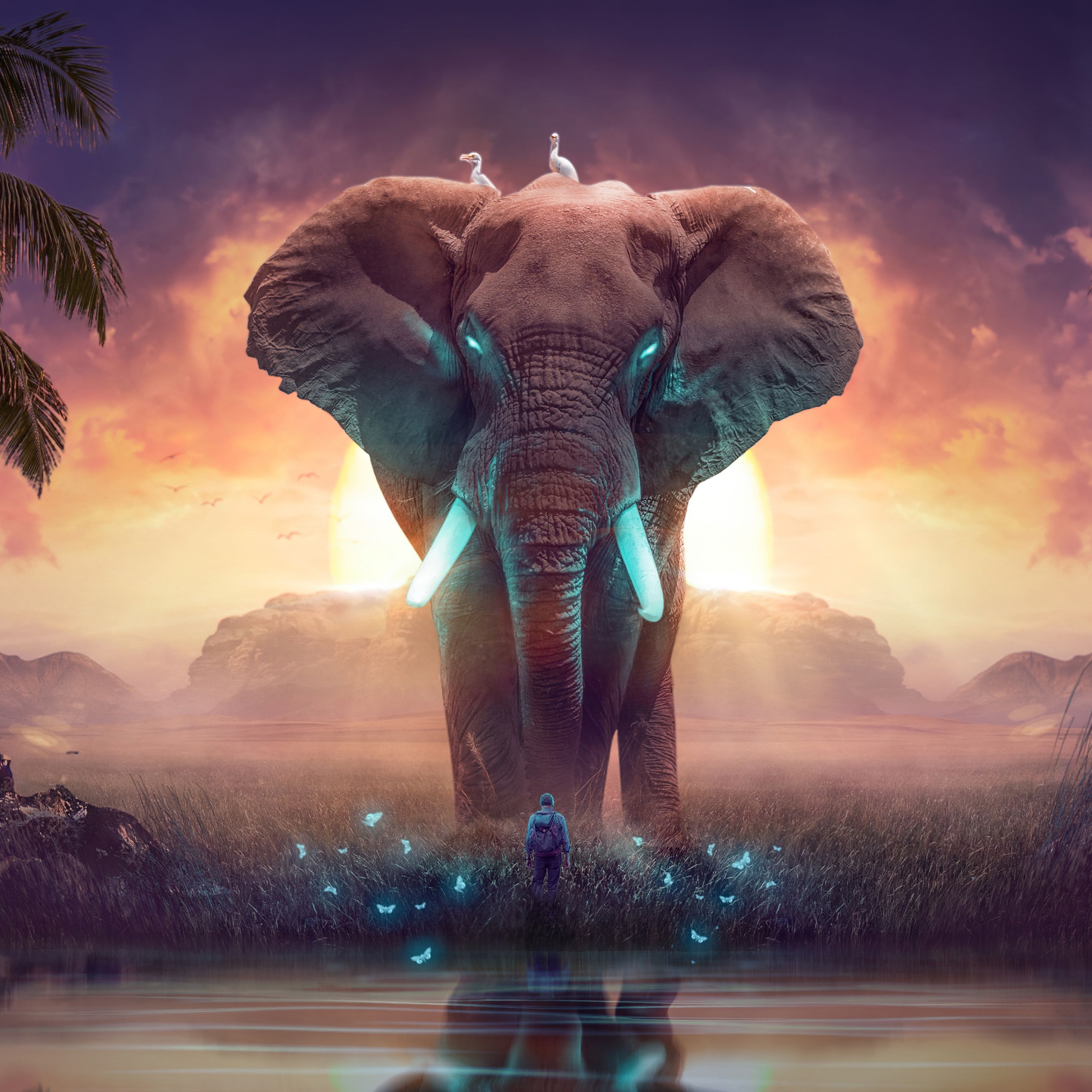 Elephant Wallpaper 4K, Dream, Mysterious, Fantasy
