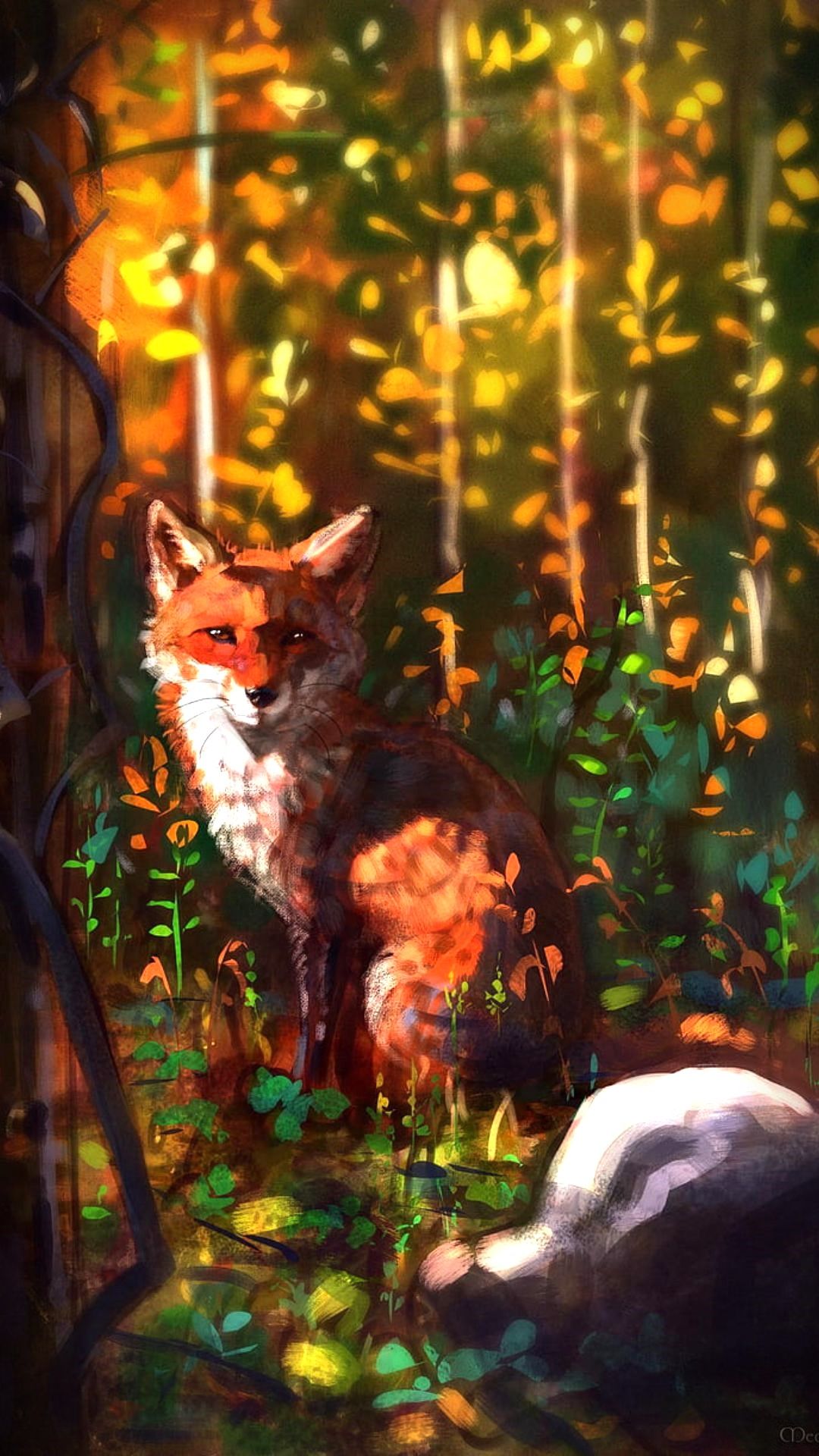 Fox Wallpaper Fox Wallpaper Download