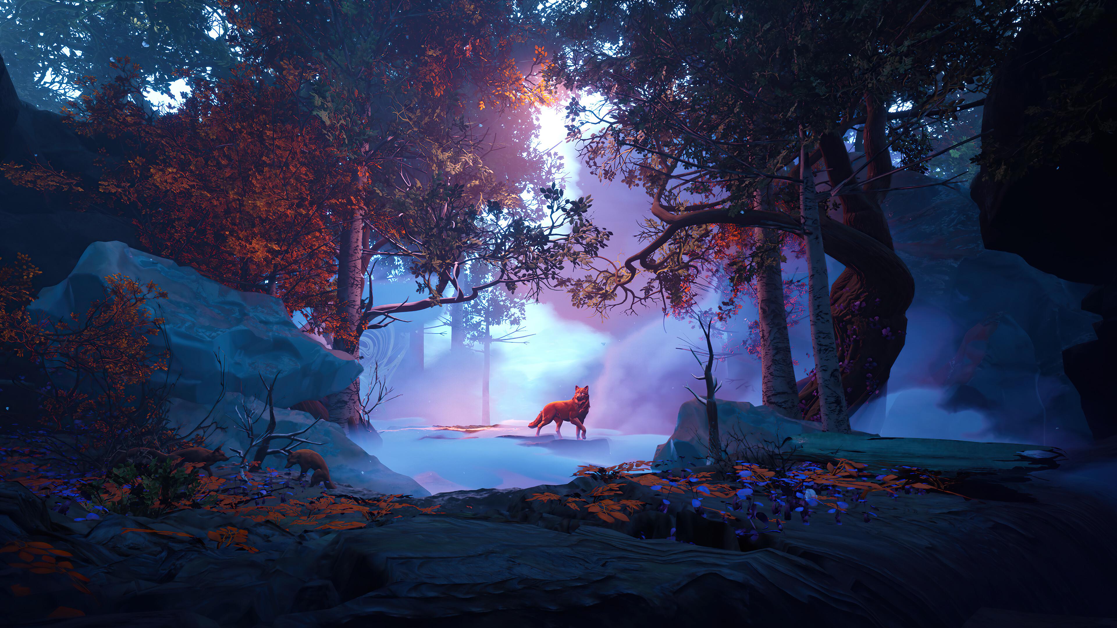 A forest with trees and fog - Fox