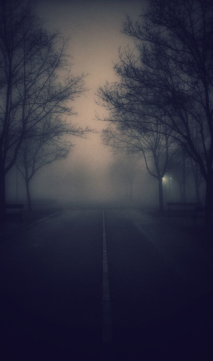 A foggy street with trees and a light in the distance. - Fog