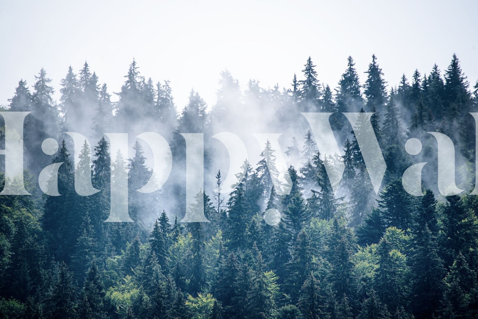 Misty foggy forest wallpaper