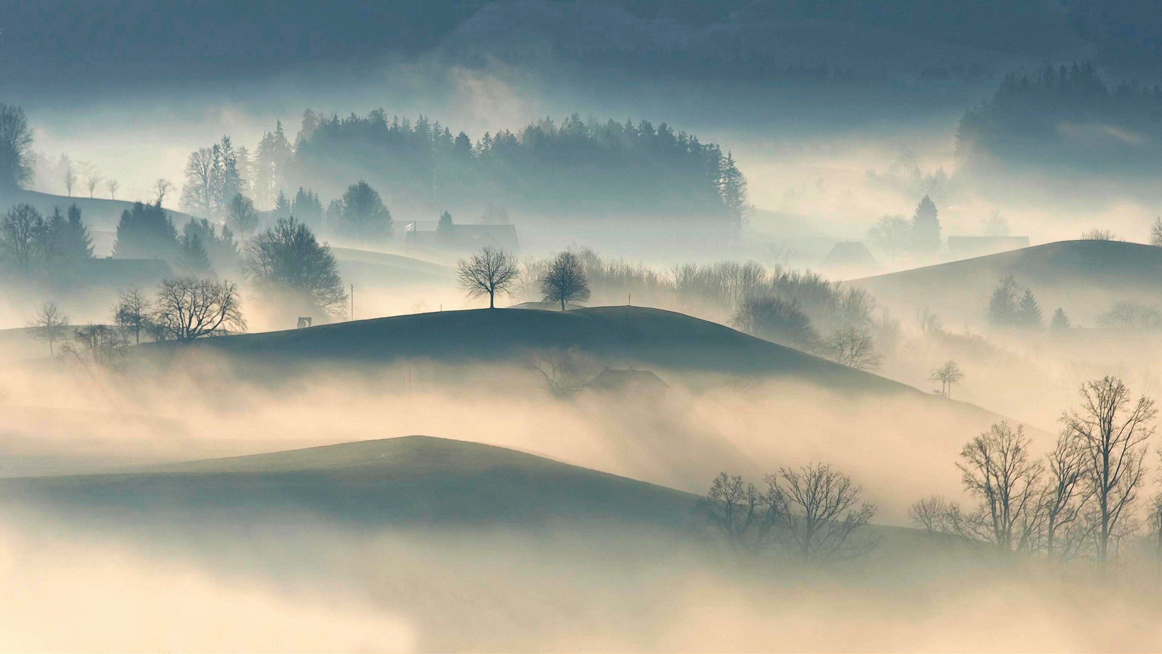 A hill with trees and fog on it - Fog