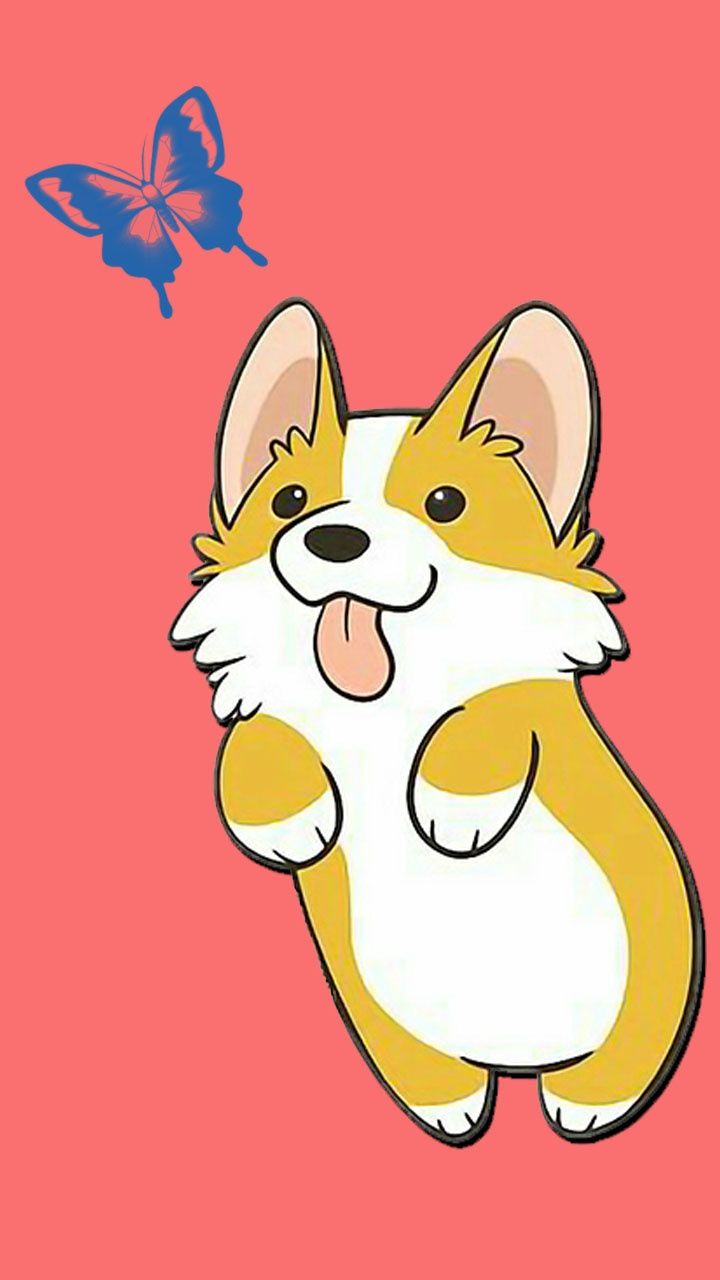 Wallpaper / Animal Corgi Phone Wallpaper, Dog, 720x1280 free download