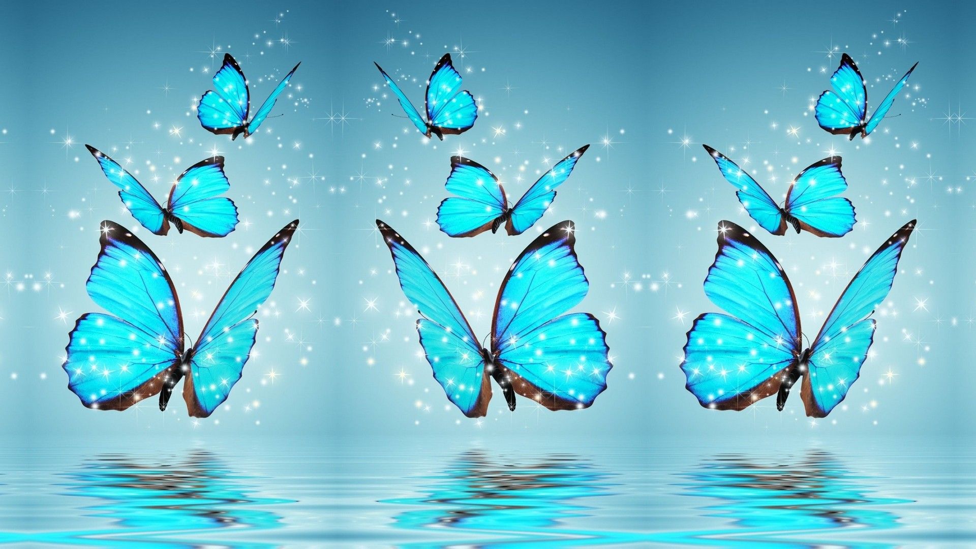 Butterflies flying over the water wallpaper - Butterfly