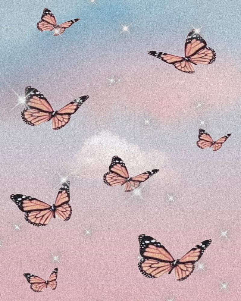 Butterfly, aesthetic, cute, HD phone wallpaper