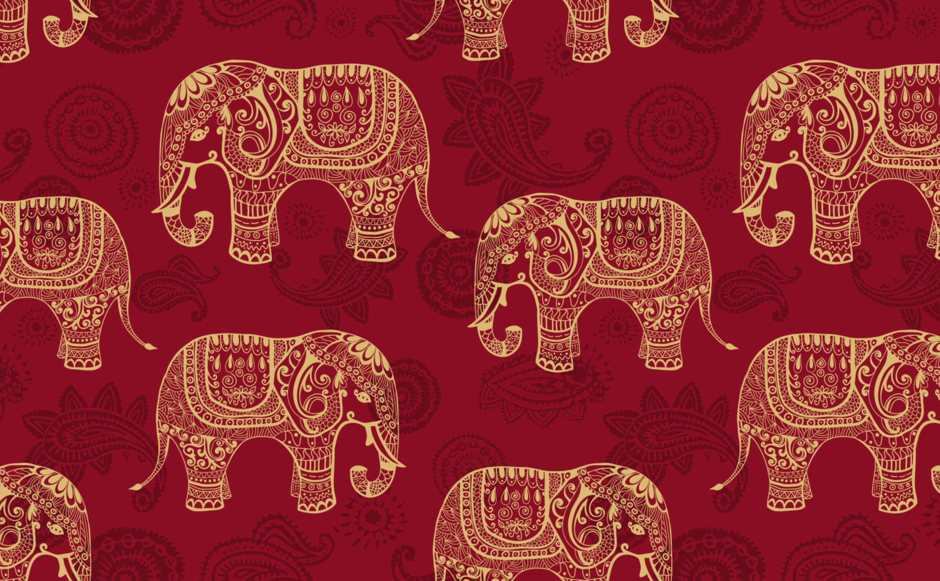 Indian Elephants Wallpaper for Walls