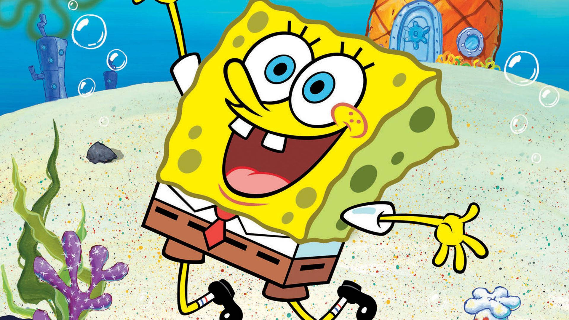 SpongeBob SquarePants is a yellow sponge who lives in a pineapple under the sea. - SpongeBob