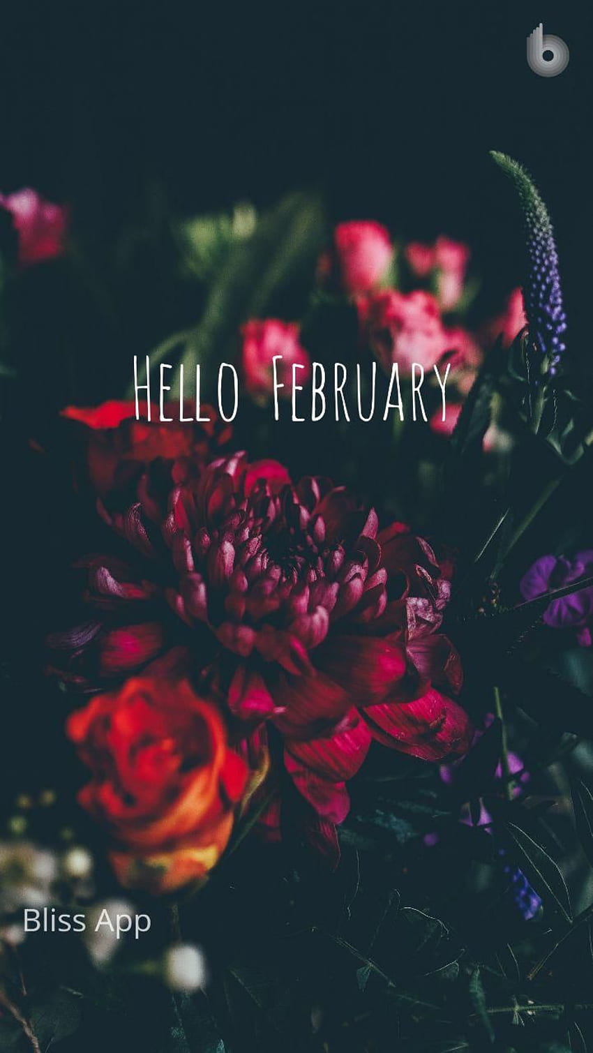 A photo of the word hello february on top - February