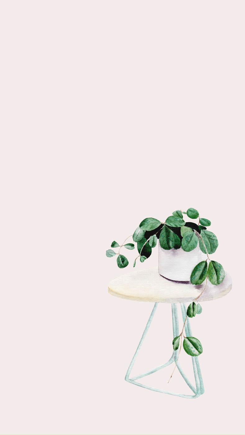 A plant on a table - February