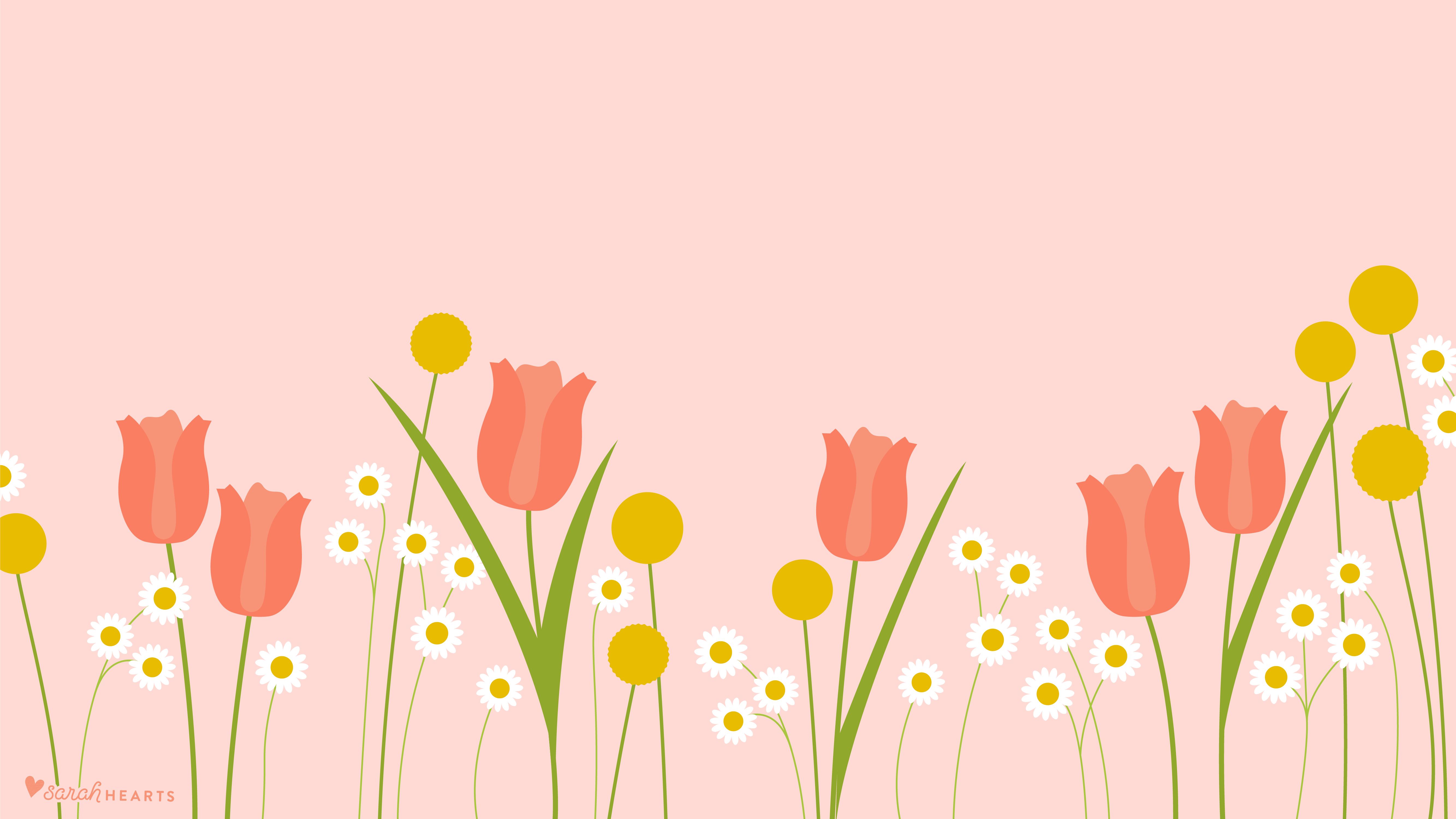 A field of pink tulips and daisies on a pink background - May