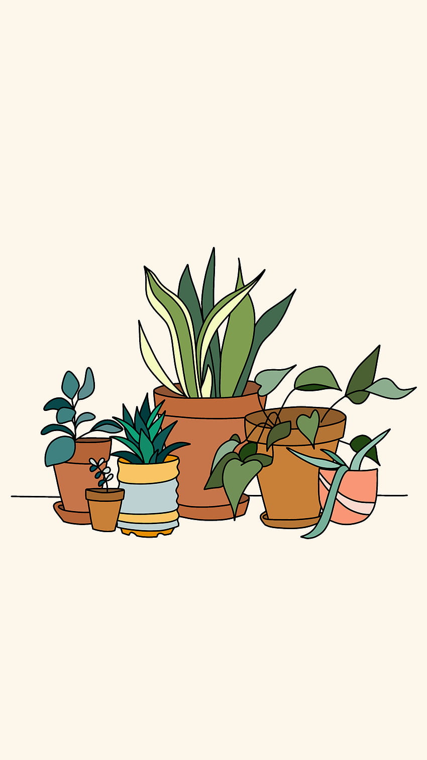 An illustration of several potted plants in front of a white background - May