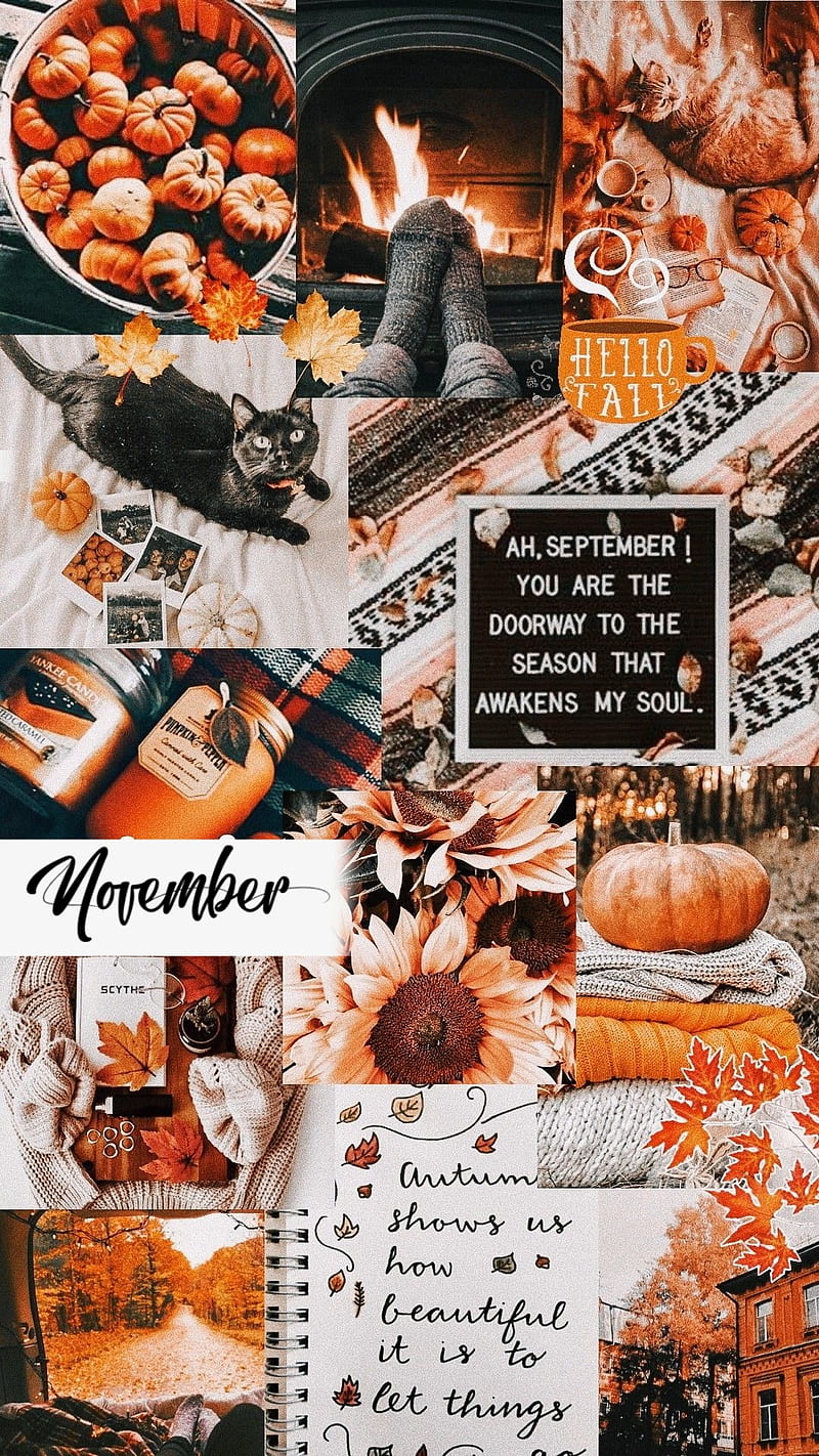 Aesthetic fall phone background collage with a fireplace, a cat, and other fall elements. - November