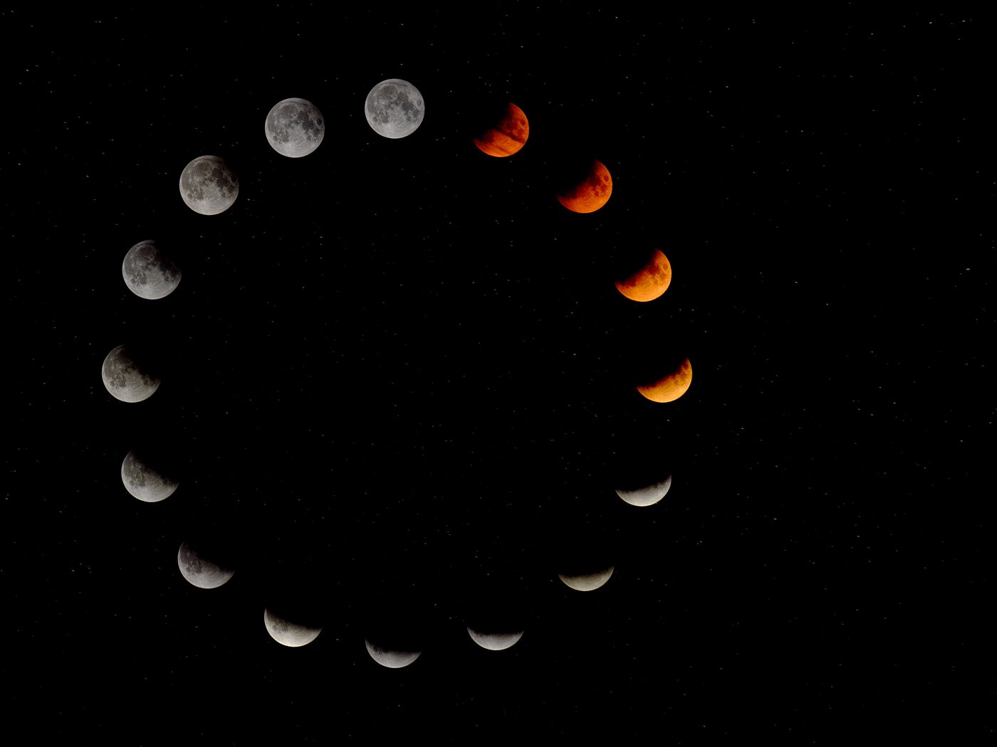 A circular arrangement of photographs of the moon in different stages of a lunar eclipse - Moon phases