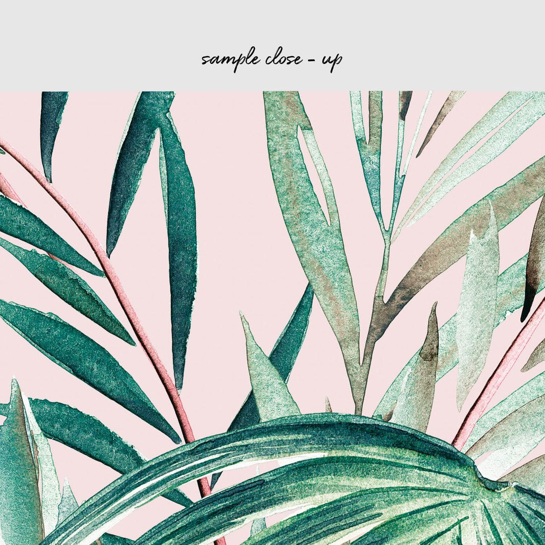 A poster with tropical leaves and pink background - Blush