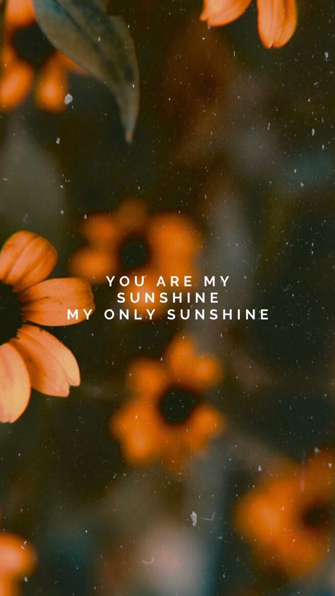 Flowers with the words you are my sunshine - Sunshine