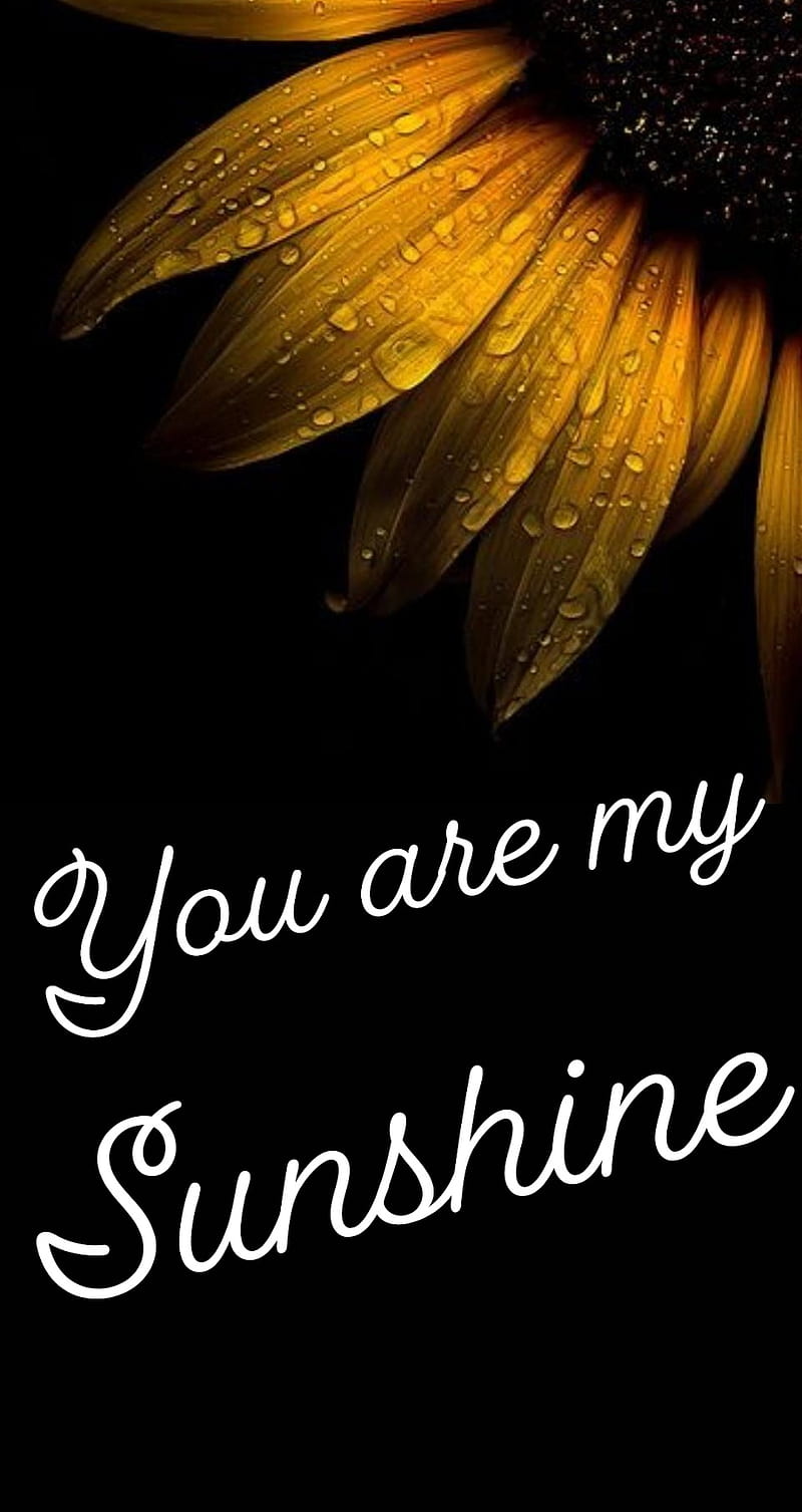 Sunshine sunflower, black sunflower, sunflower, sunshine, you are my sunshine, HD phone wallpaper