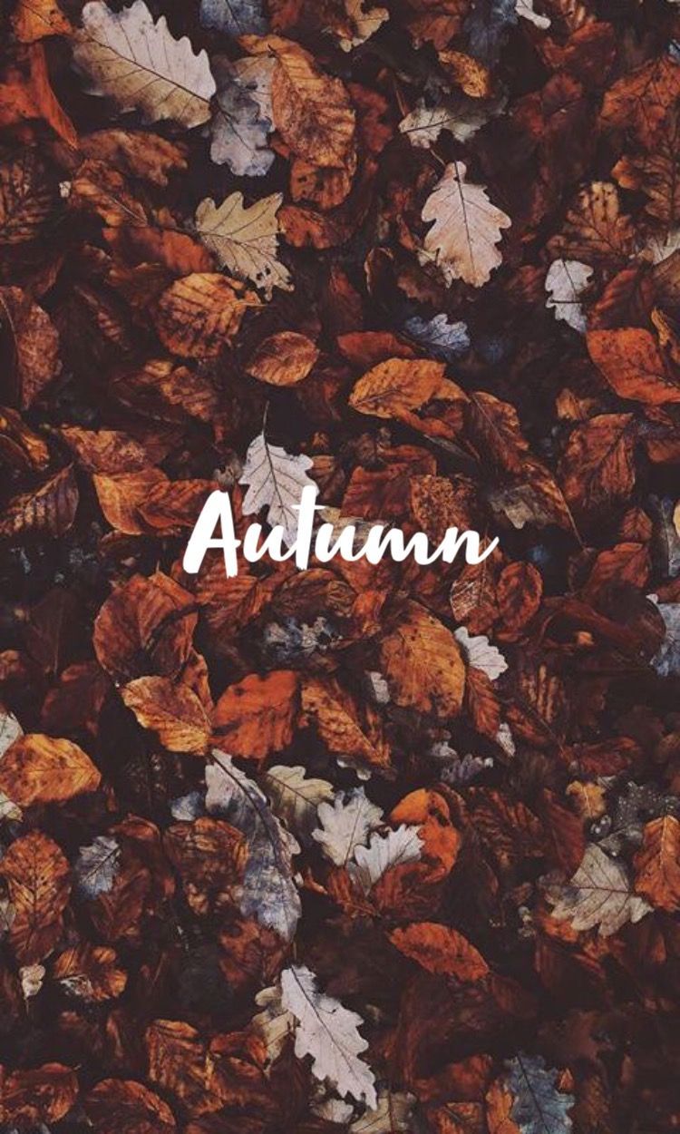 Autumn background with dry leaves and the word Autumn - Fall iPhone