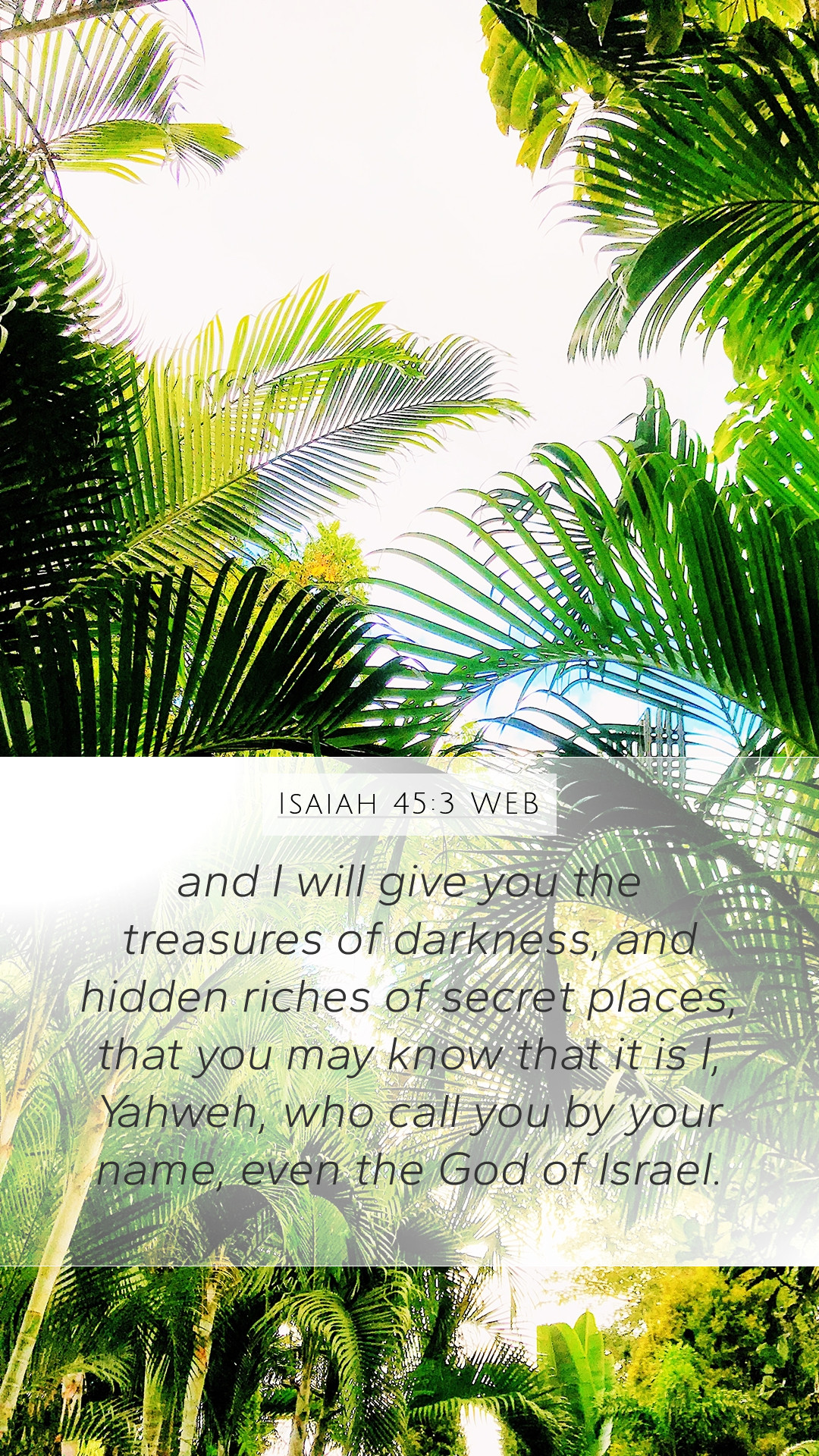 A tropical scene with palm trees and bible verse - Christian iPhone