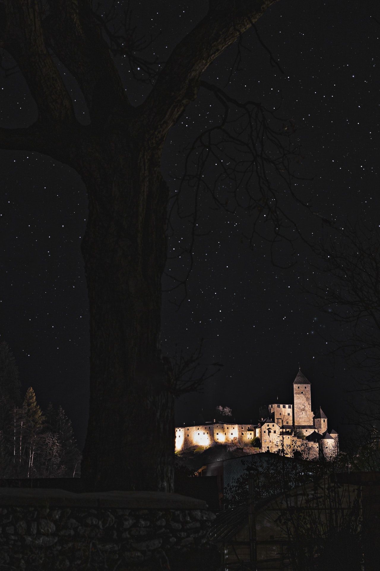 A tree with stars in the sky - Castle