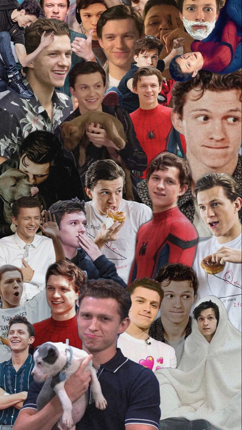 Tom Holland Collage, Tom Holland Funny, HD phone wallpaper