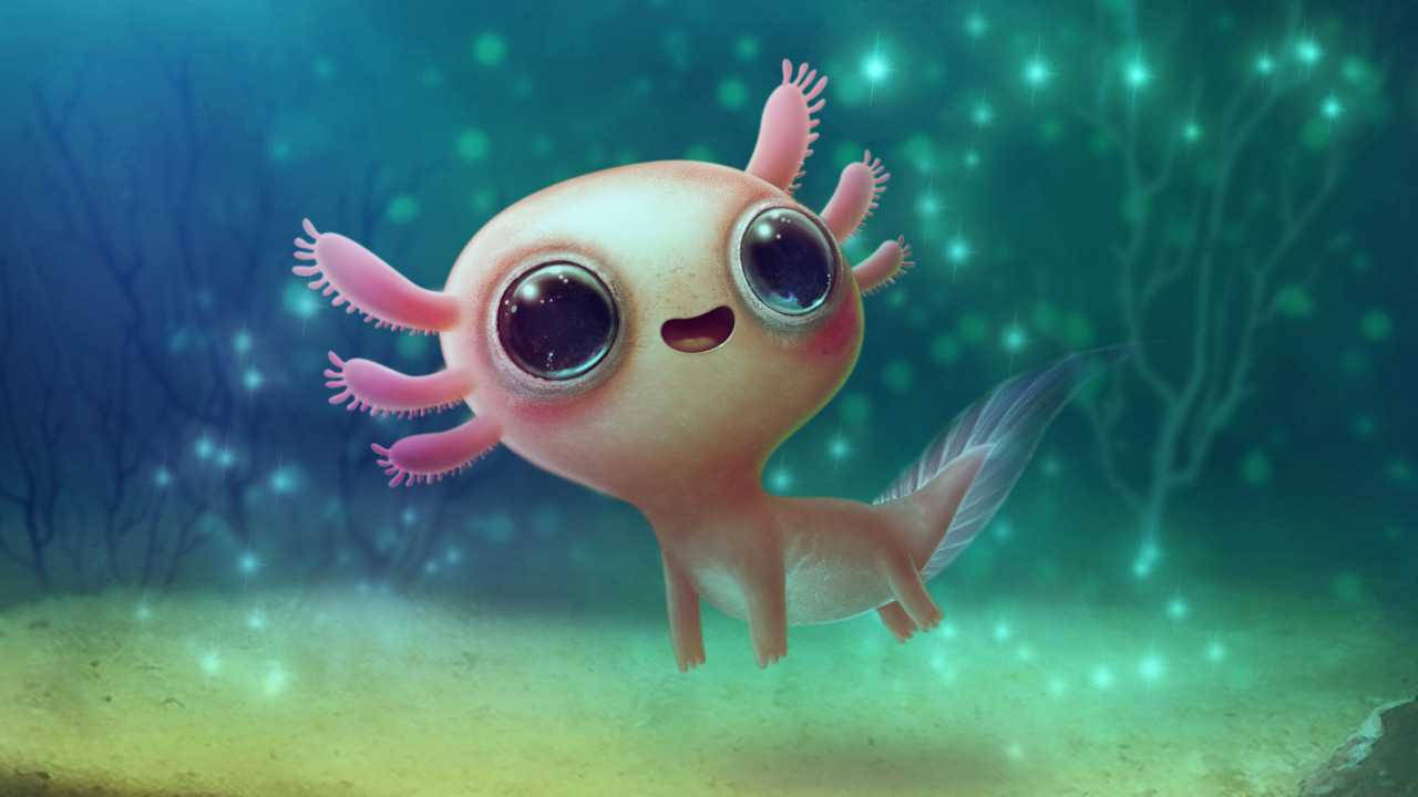 Download Solo Axolotl As Cute Aesthetic Pc Screen Wallpaper