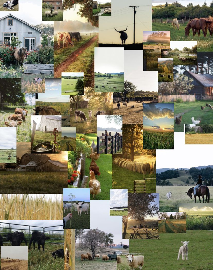 A collage of photos of animals, farm scenes, and nature. - Farm