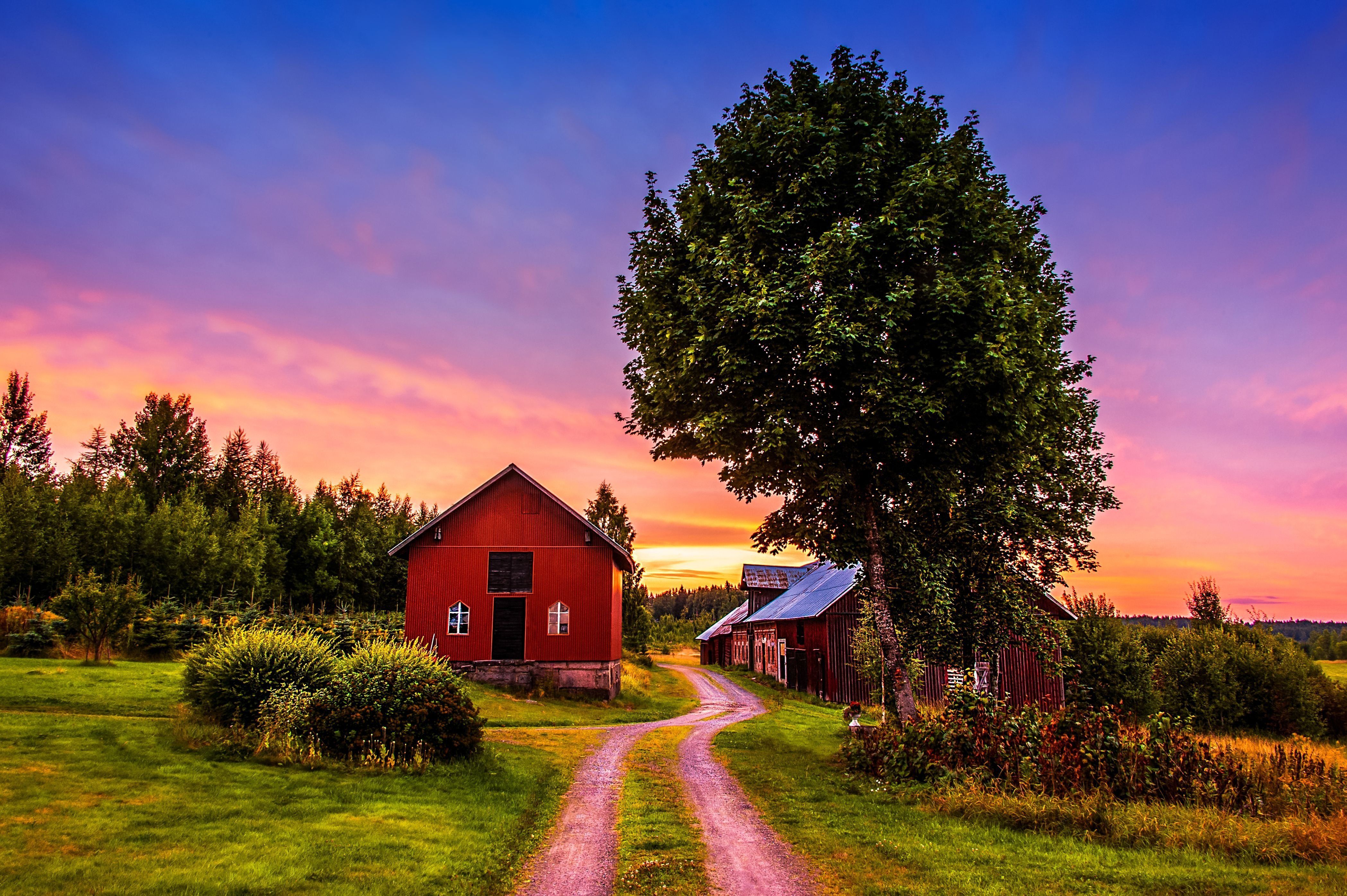 A dirt road leads to a red barn with a tree in front of it. - Farm