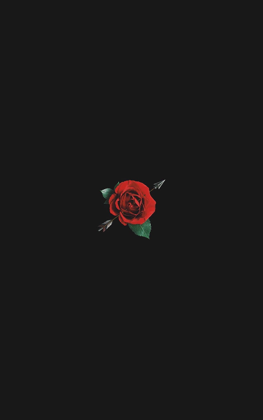 Dark Aesthetic Rose Blurry Rose [] for your, Mobile & Tablet. Explore Red Roses Aesthetic. Red Roses Aesthetic, Red Aesthetic, Red Roses, Cute Aesthetic Rose HD phone wallpaper