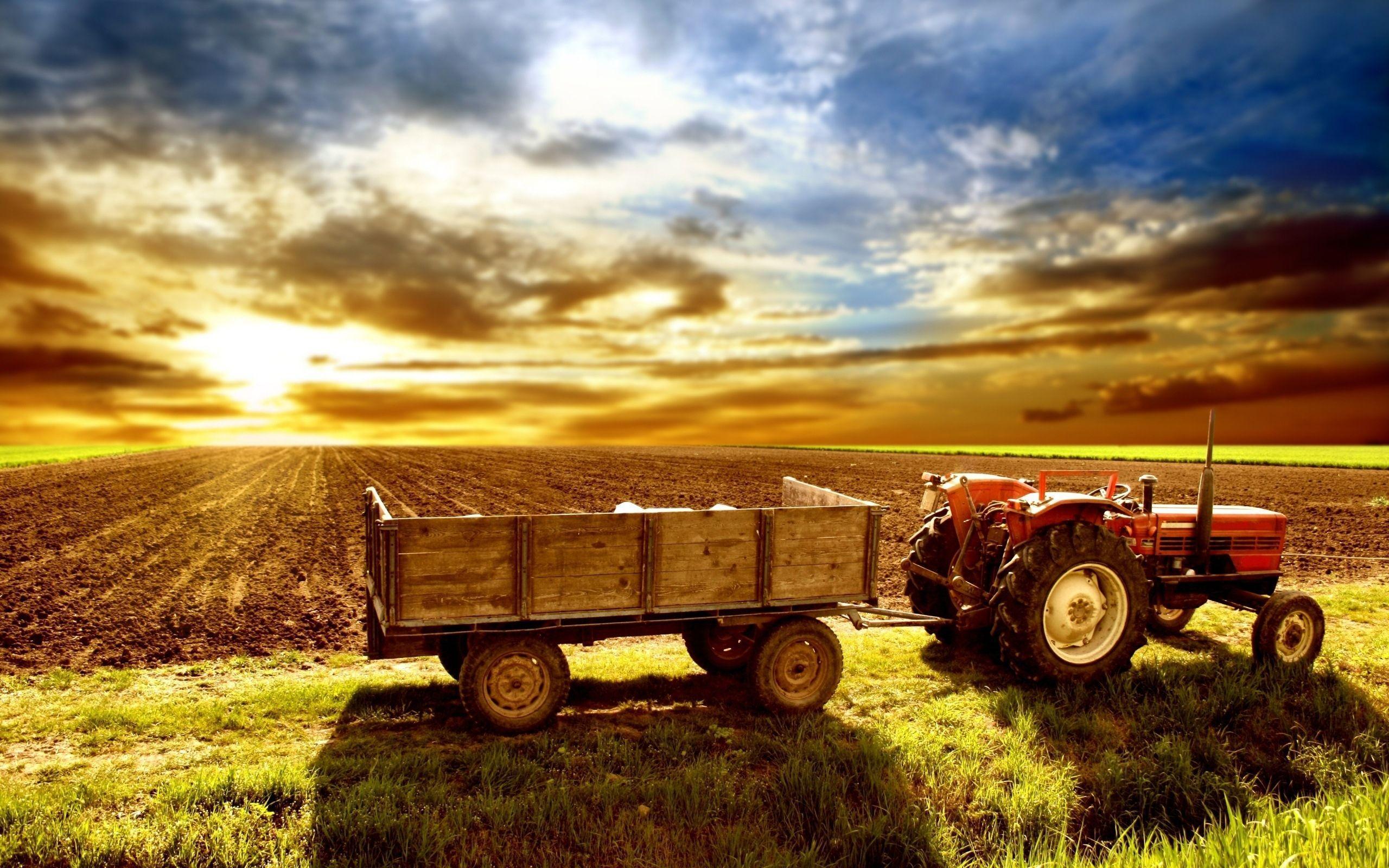 Tractor in a field at sunset - Farm