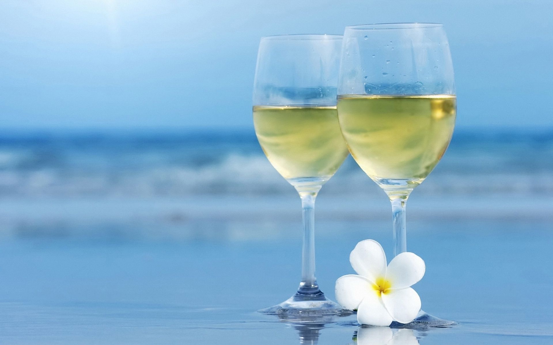 Two glasses of champagne with a flower on the beach - Champagne