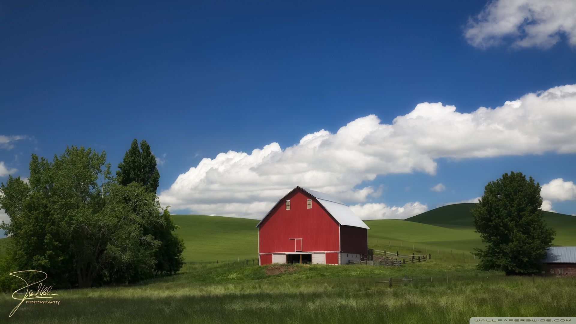 A red barn in a field of green grass with a blue sky and white clouds in the background. - Farm