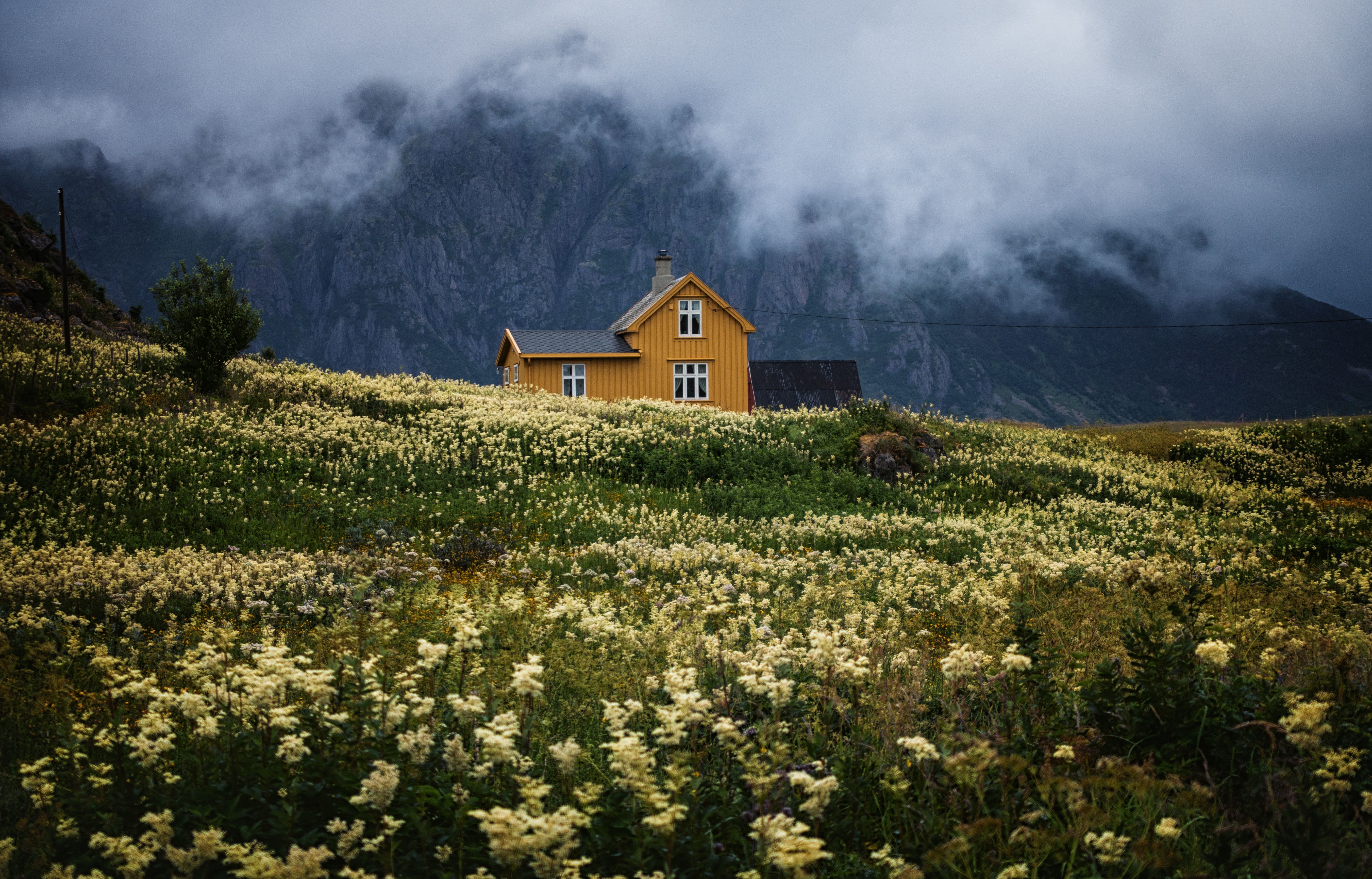 A yellow house in the middle of a field of flowers with a mountain in the background. - Farm