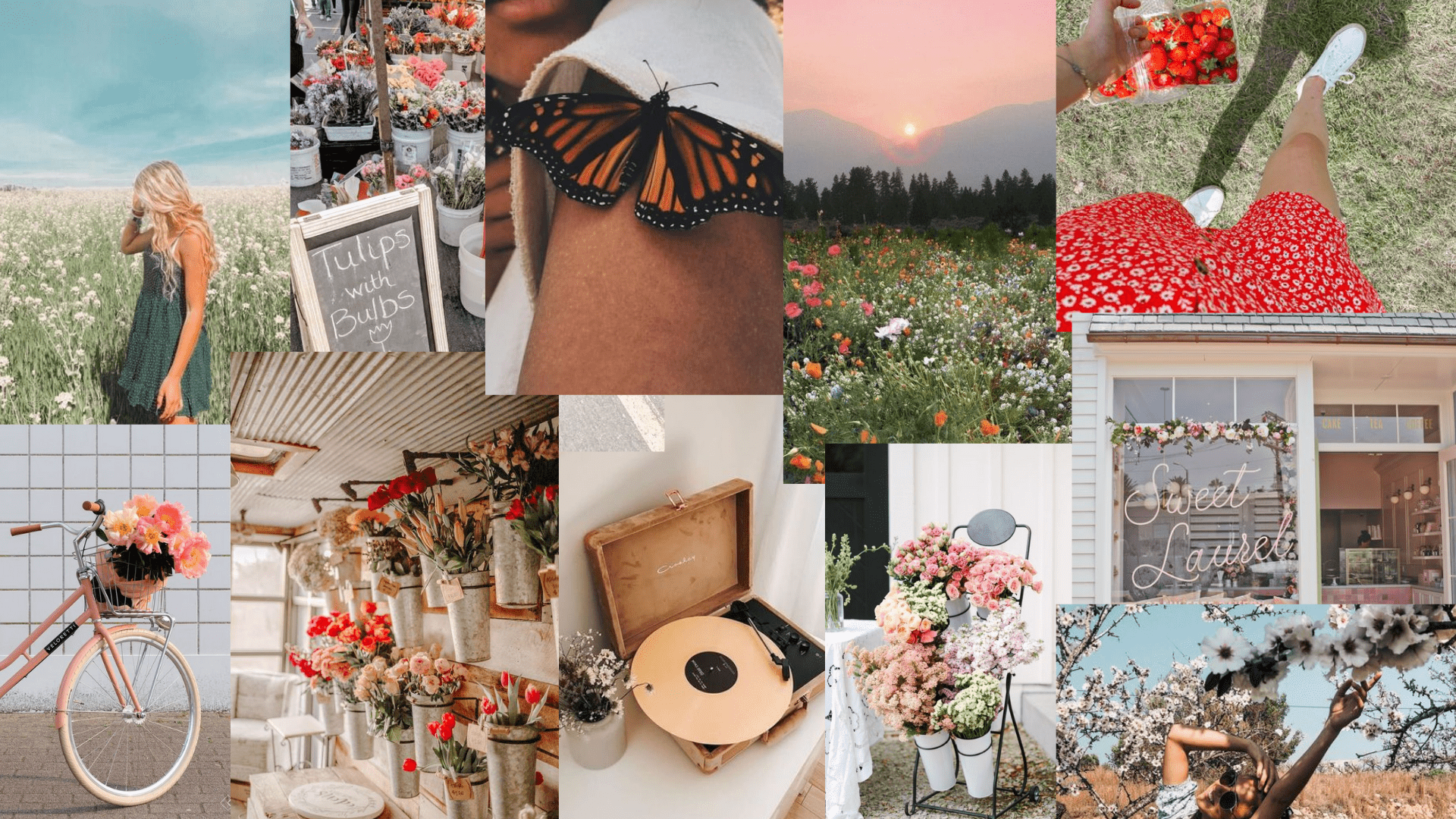 Spring Flowers Aesthetic Collage Wallpaper