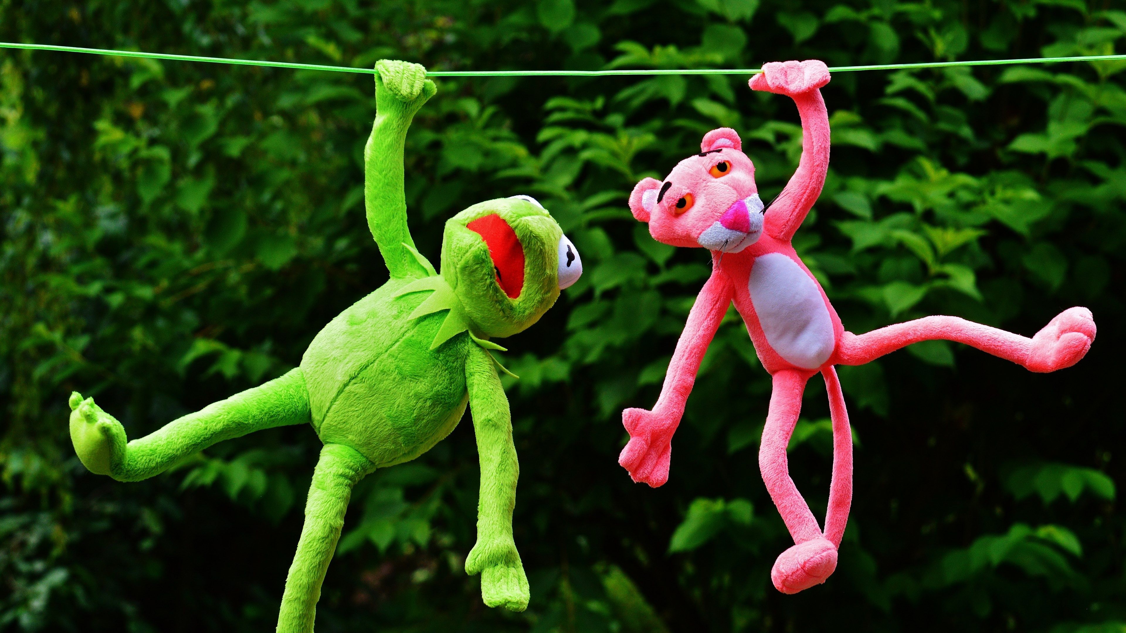 Wallpaper / hang out plush toys kermit the pink panther toys 4k wallpaper free download