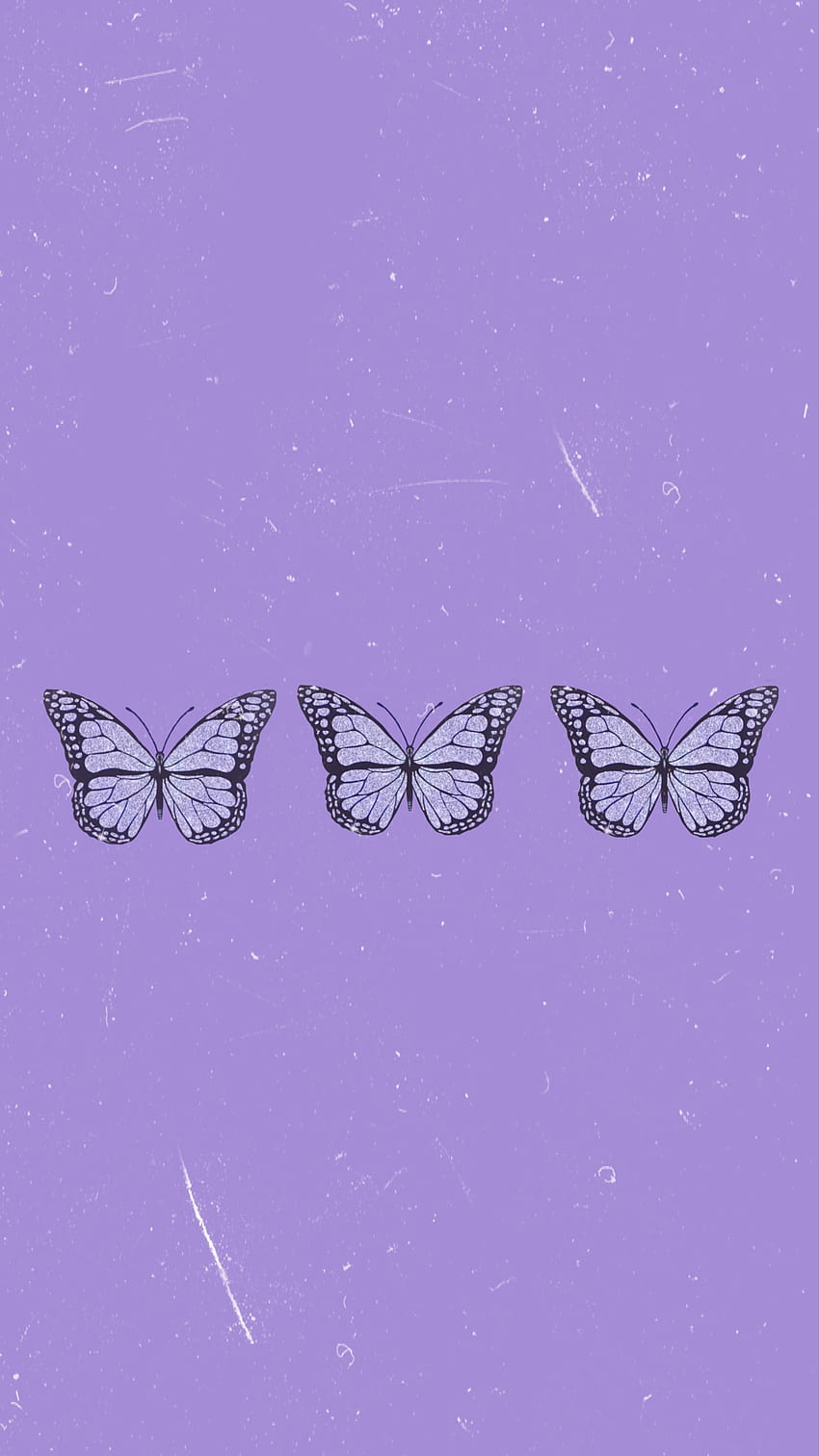 Three butterflies on a purple background - Butterfly