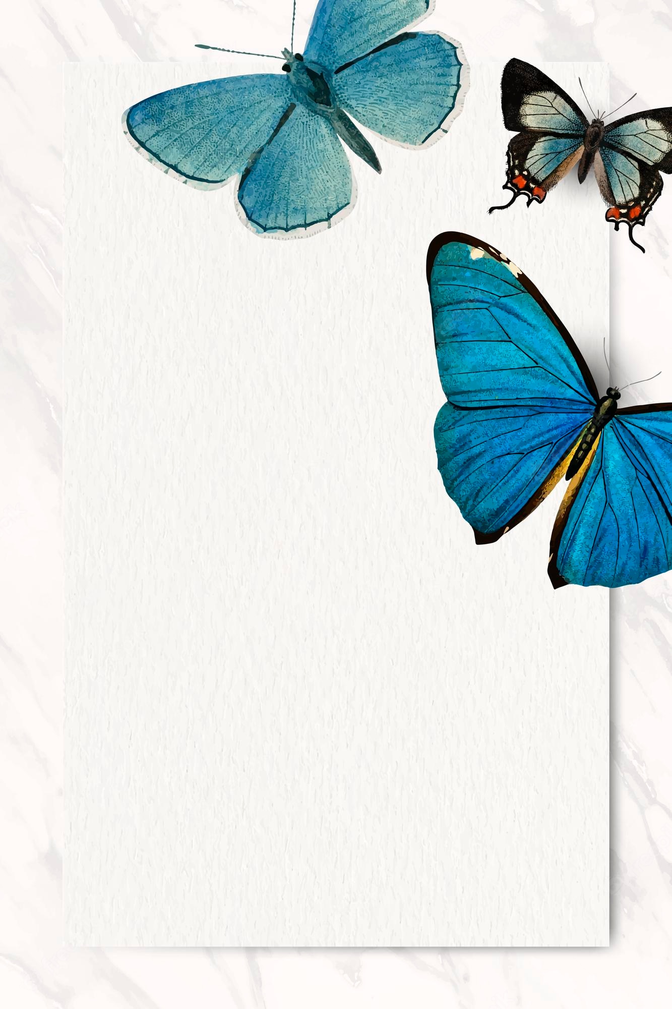 Blue Butterfly Background Image