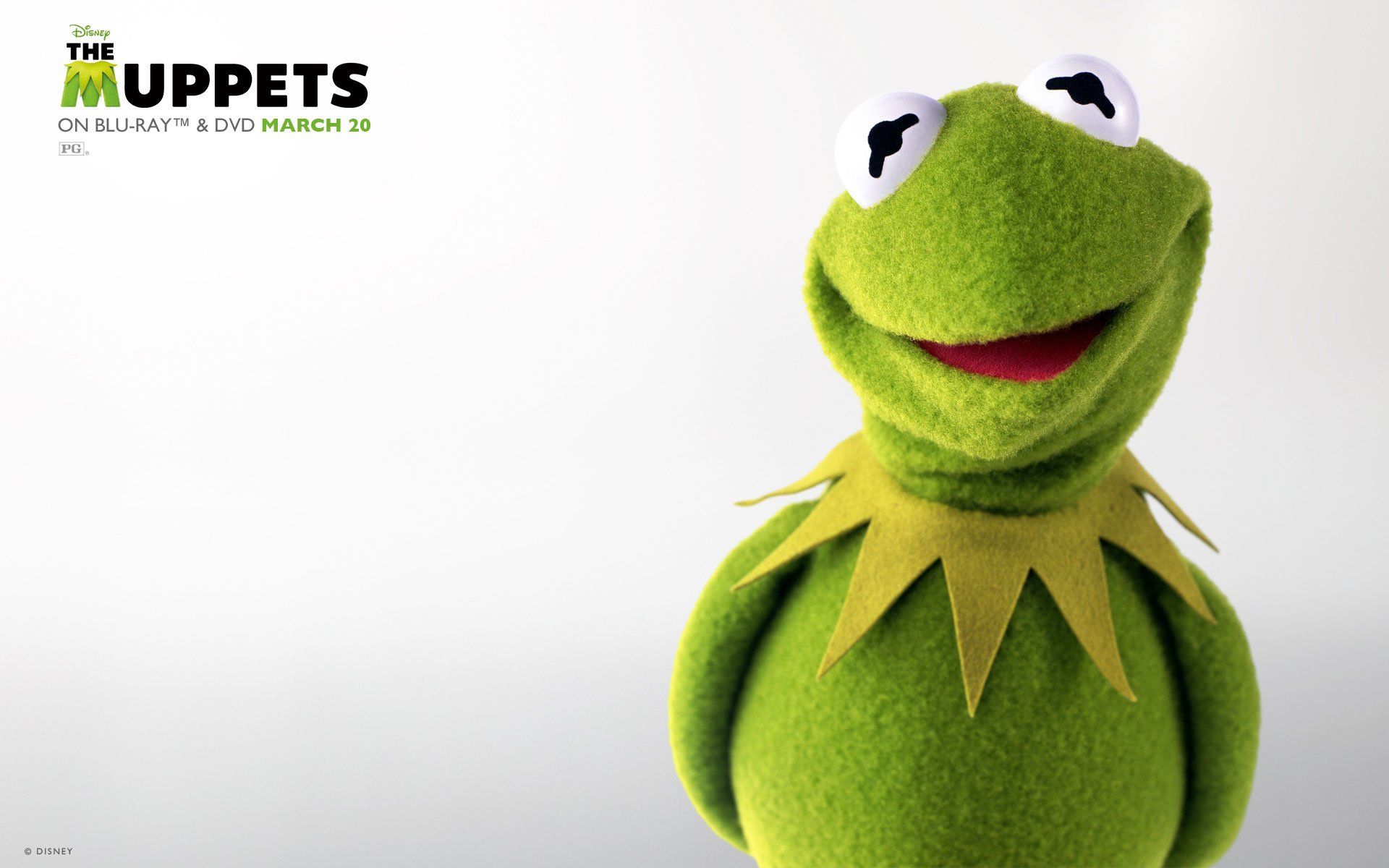 Kermit the Frog is the star of The Muppets. - Kermit the Frog