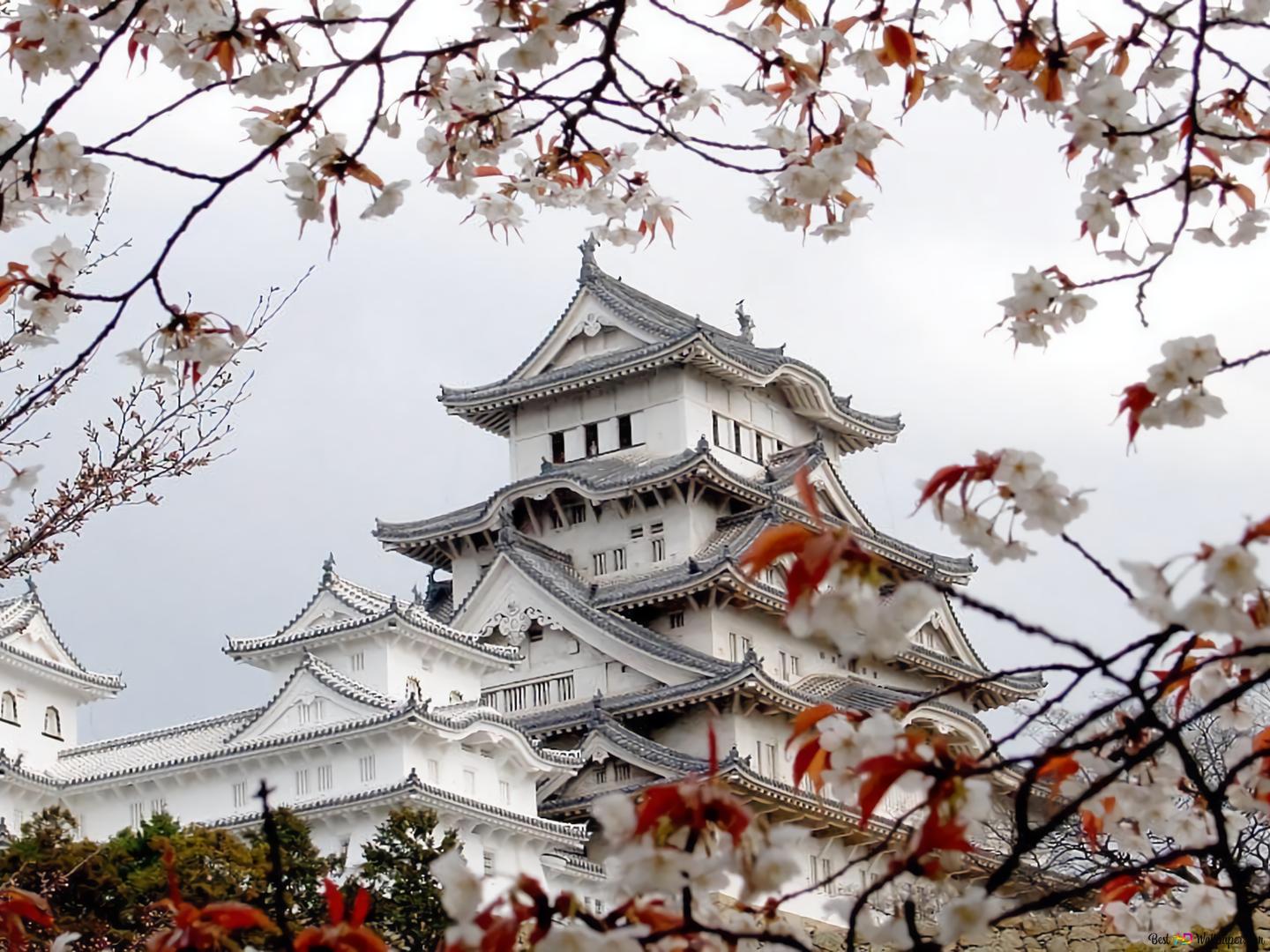 A large white building with trees in the background - Japan