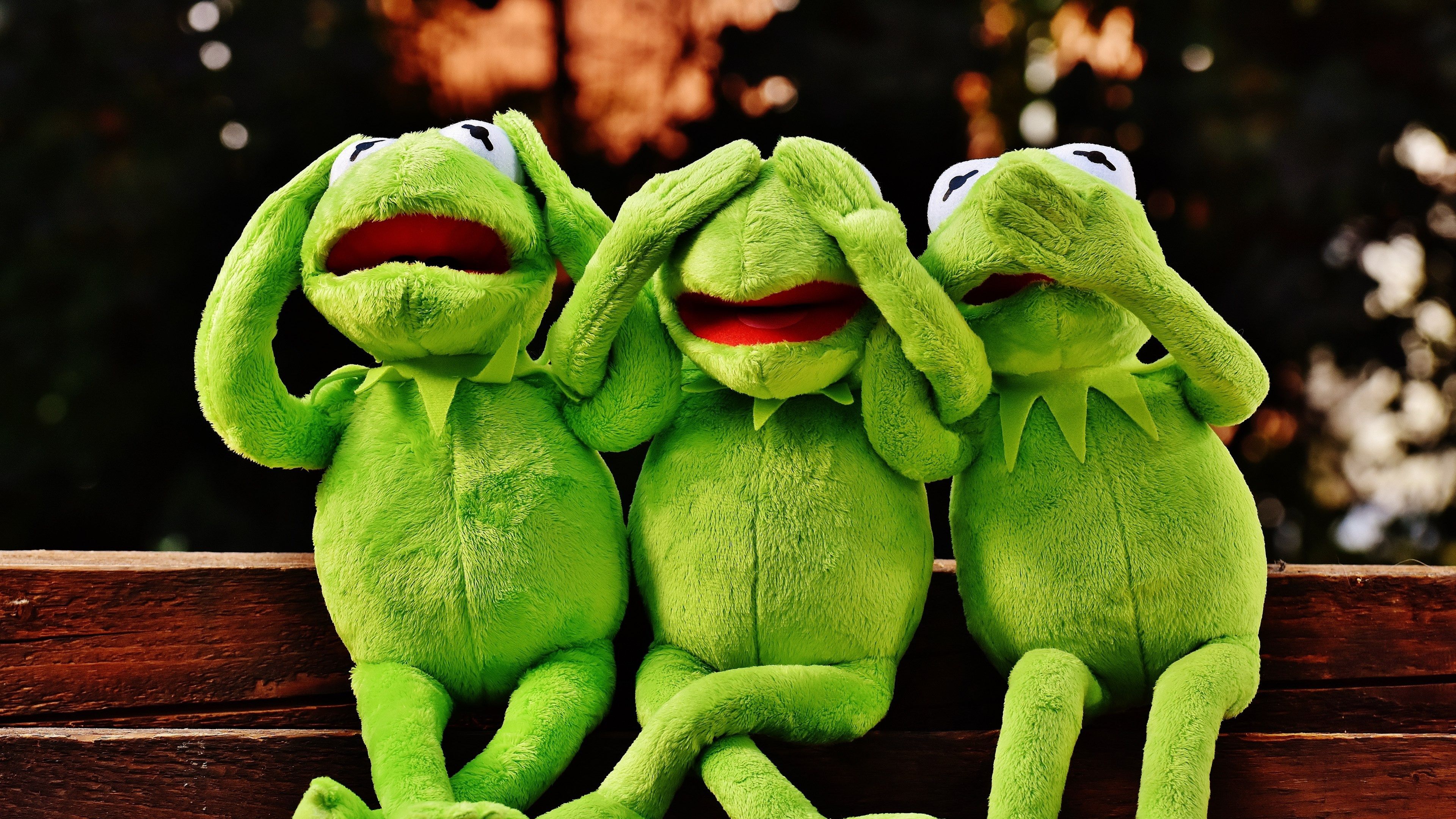 Wallpaper / not hear not see do not speak funny kermit frog 4k wallpaper free download