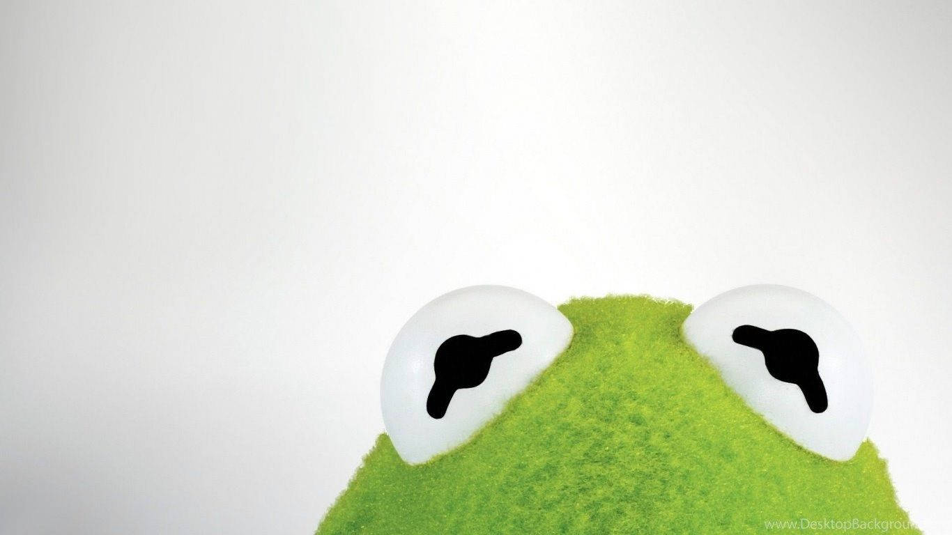 Download Kermit The Frog Eyes Close Up Wallpaper