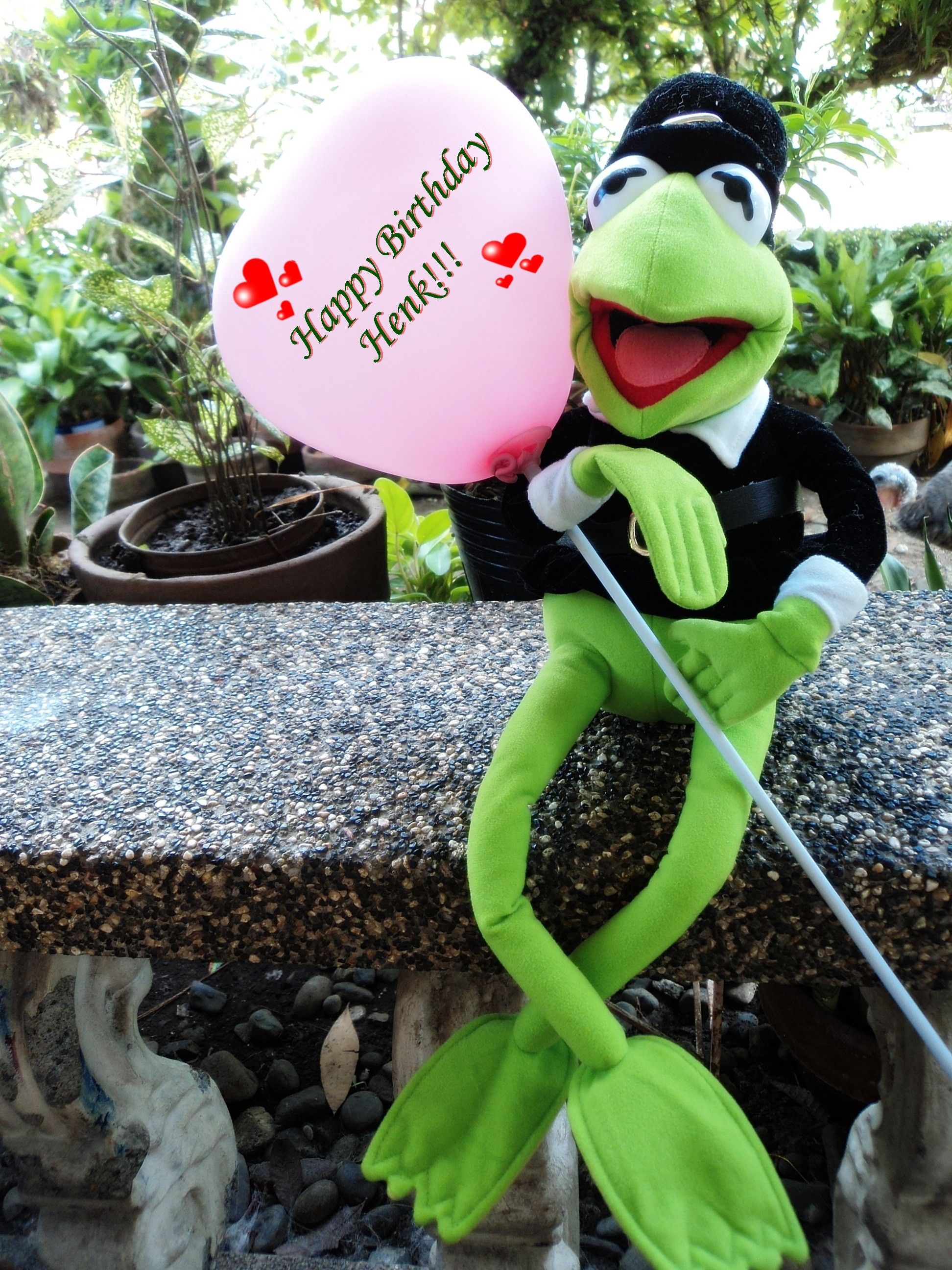 Kermit the Frog image Birthday greetings to Henk! HD wallpaper and background photo