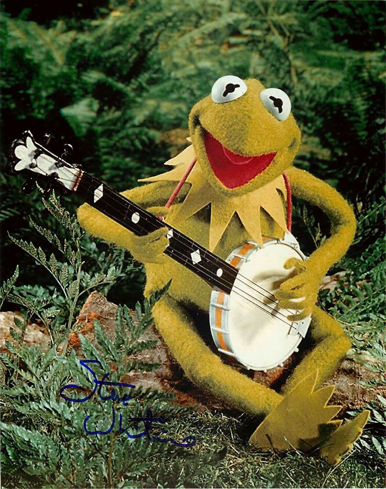 A signed photo of Jim Henson's Kermit the Frog playing a banjo. - Kermit the Frog