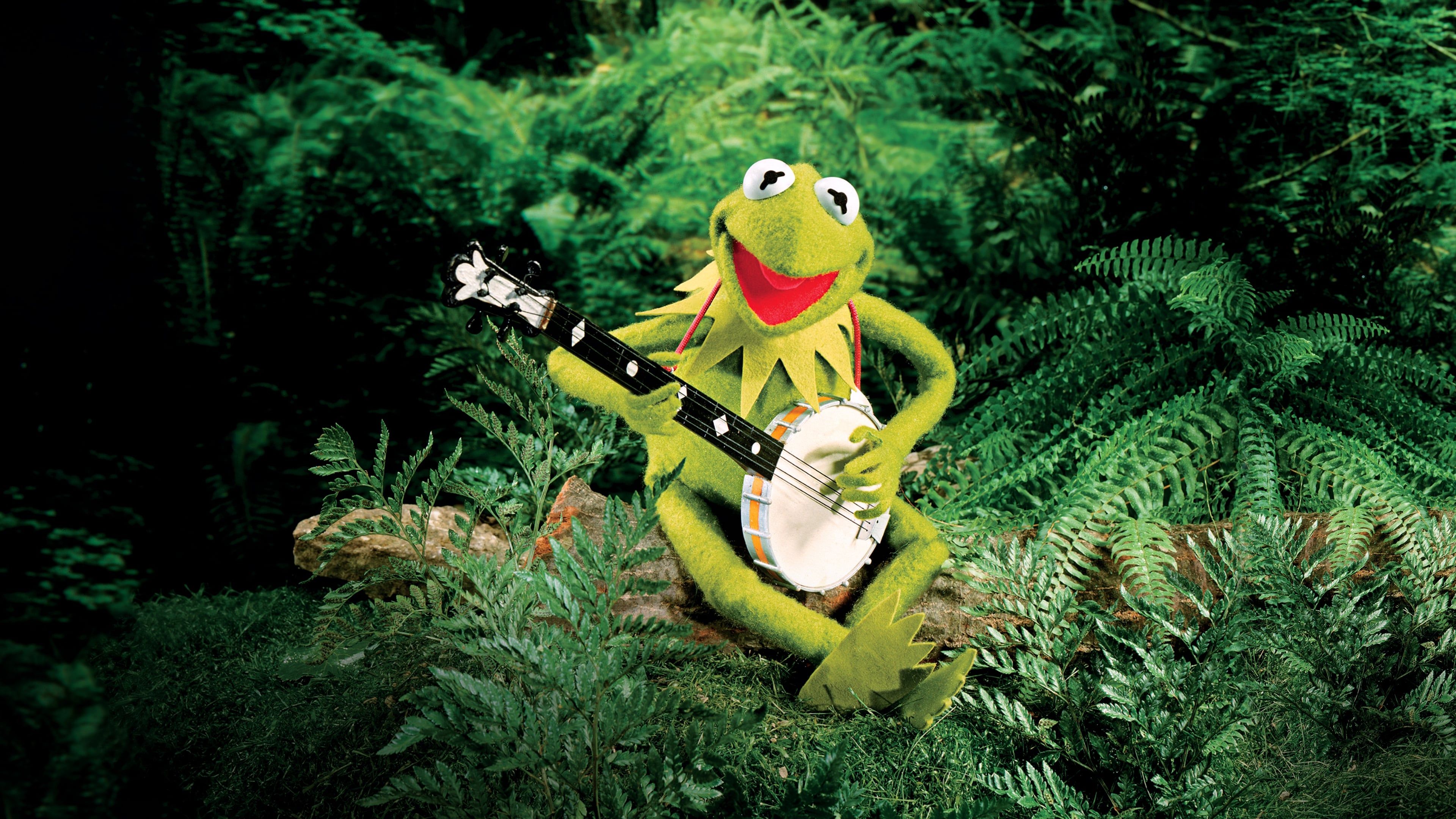 Kermit the frog playing banjo in a forest - Kermit the Frog