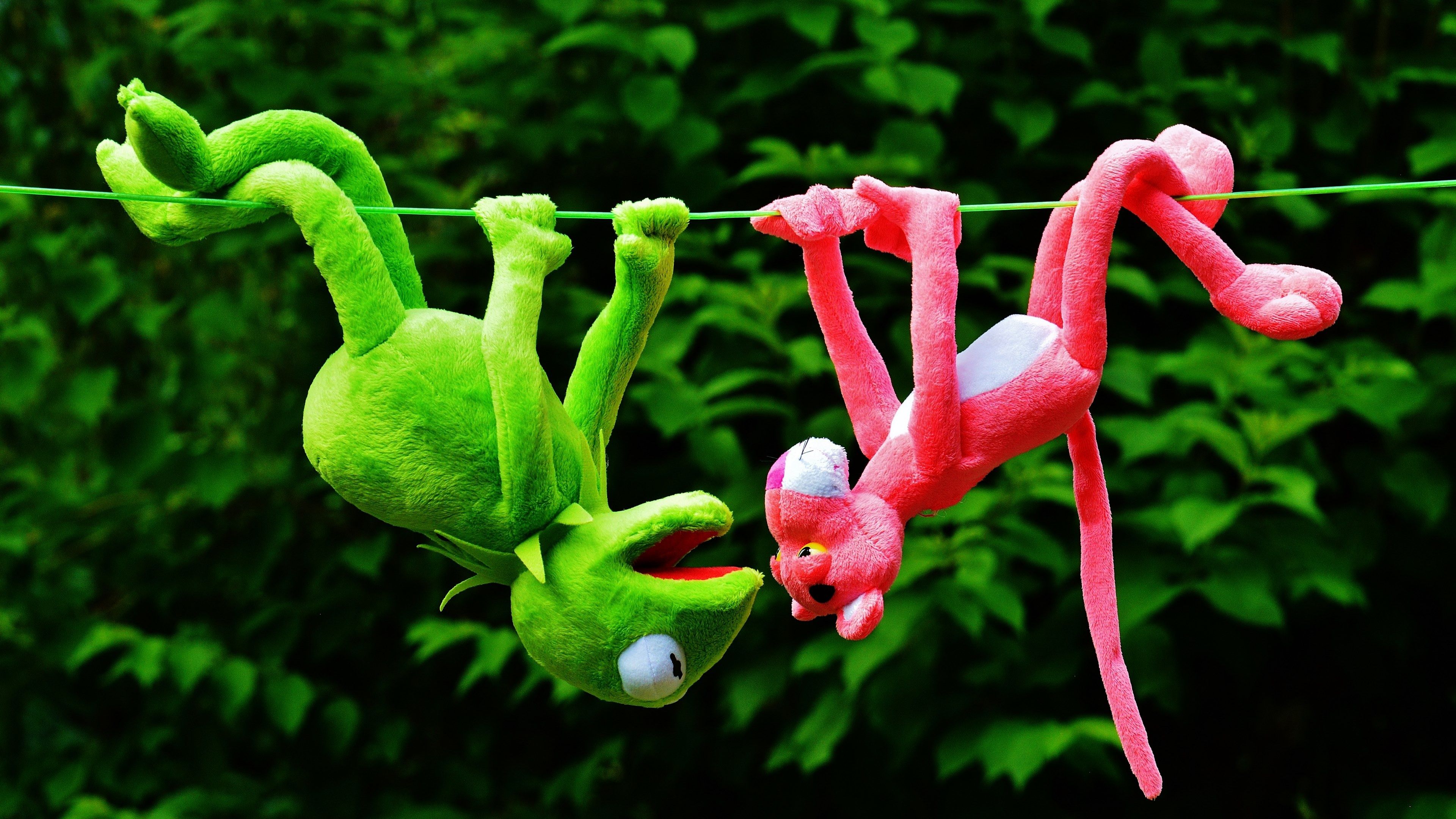 A green frog and a pink panther hanging from a clothes line. - Kermit the Frog