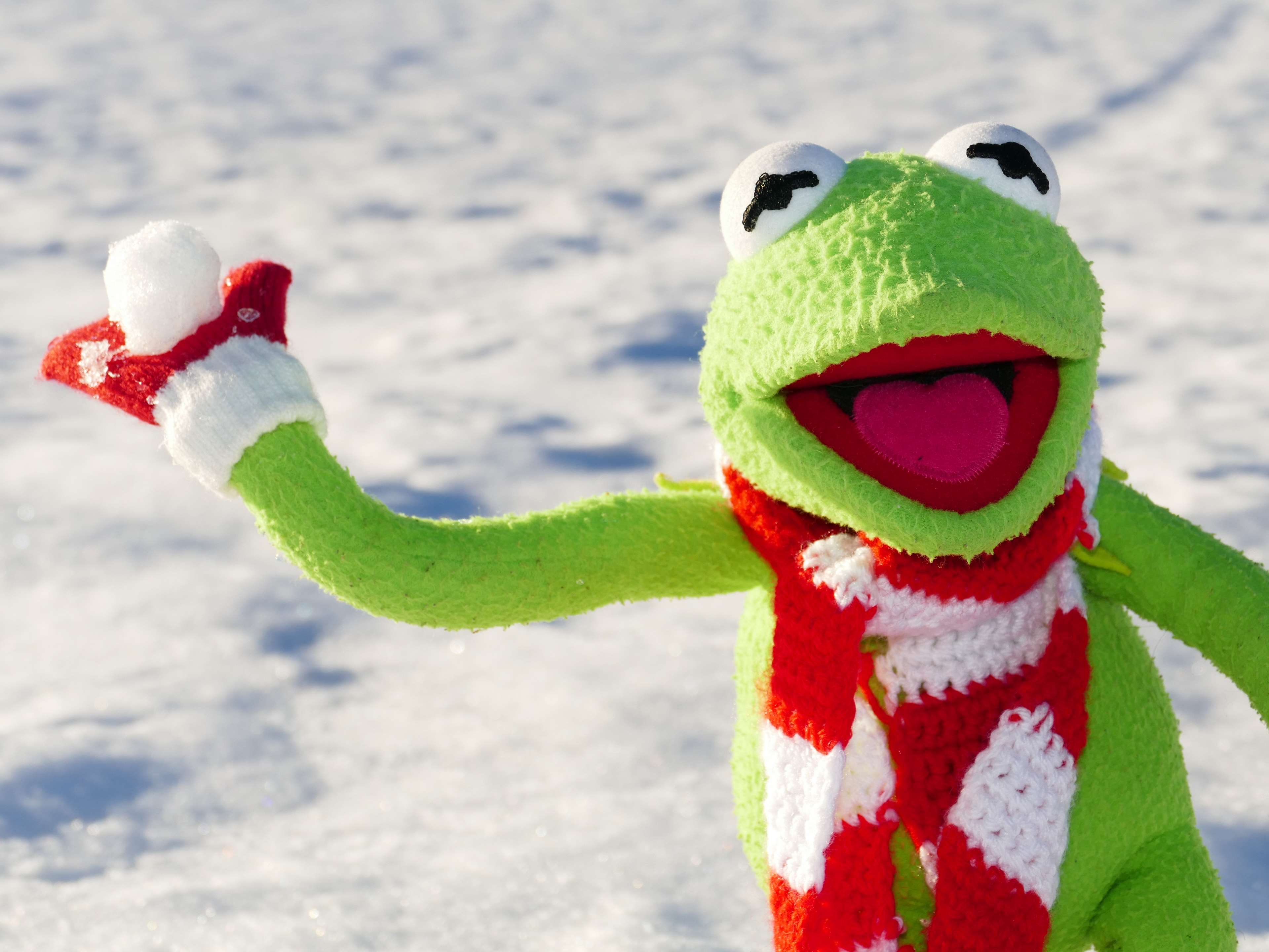 Kermit the Frog holding a snowball in his hand - Kermit the Frog