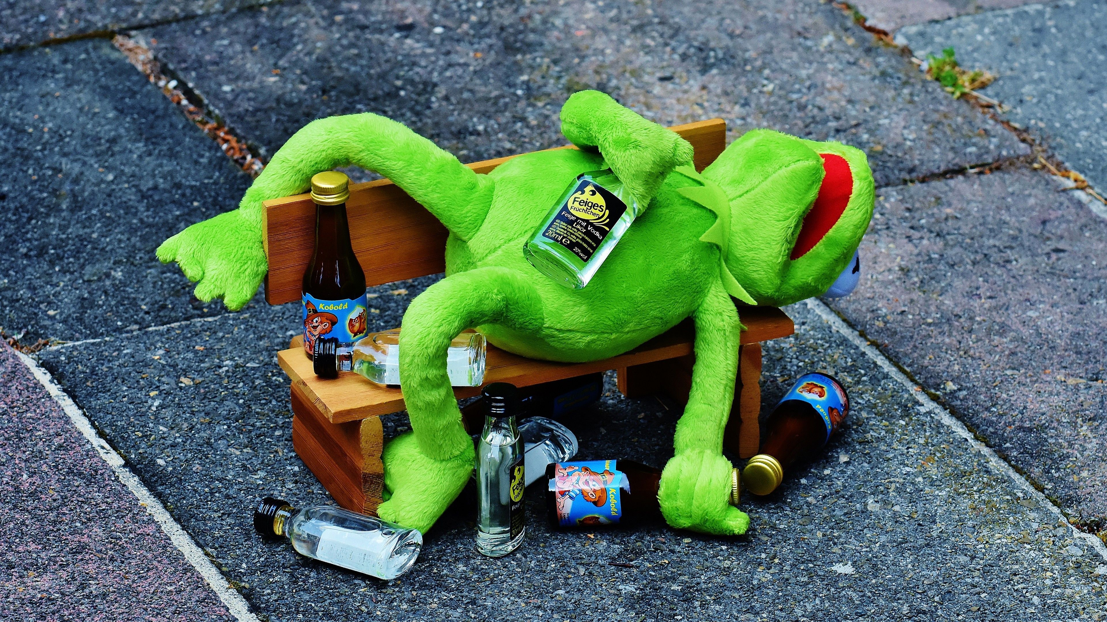 A green Kermit doll lying on a small wooden bench with empty beer cans around it. - Kermit the Frog