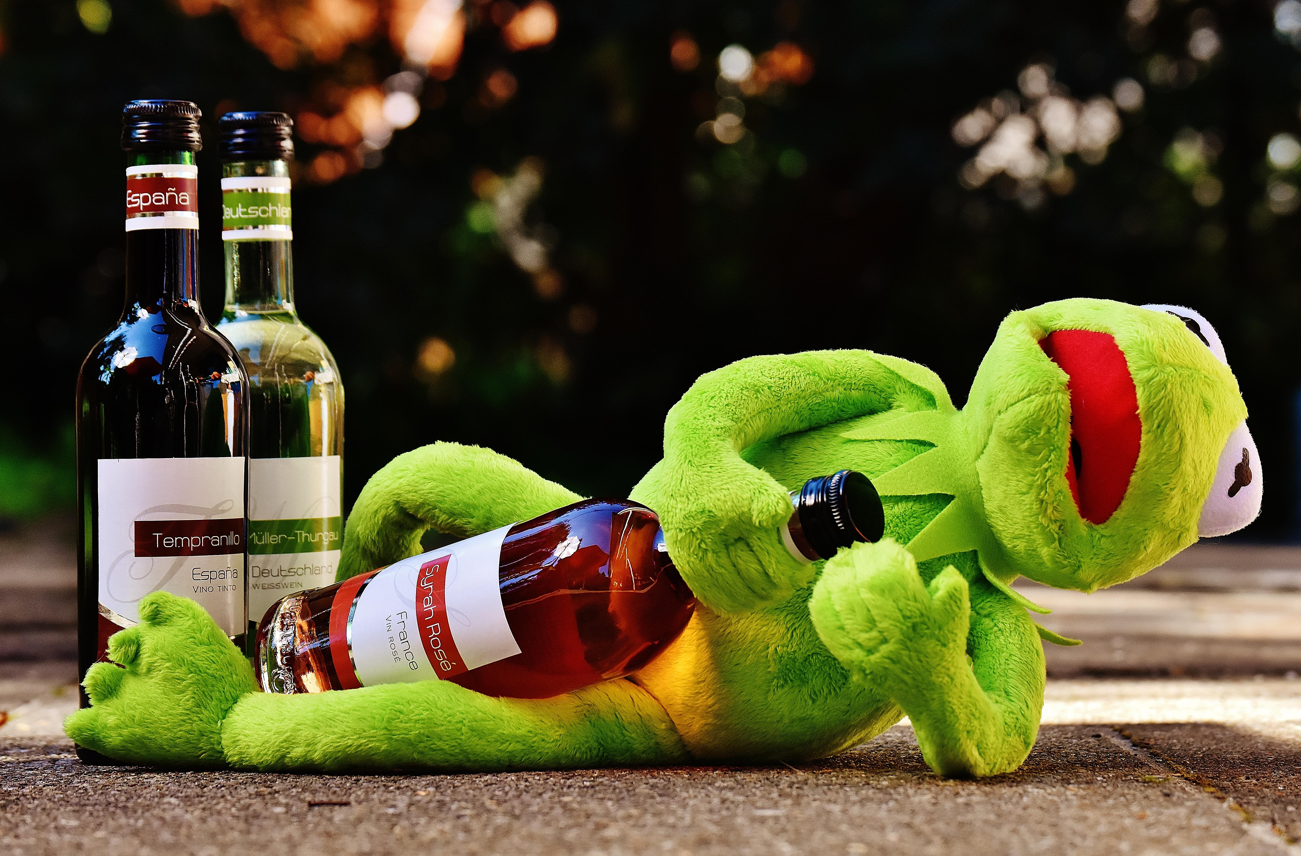 A stuffed animal sitting on the ground with bottles - Kermit the Frog