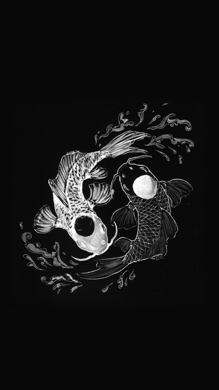 Black and white koi fish wallpaper for your phone - Koi fish