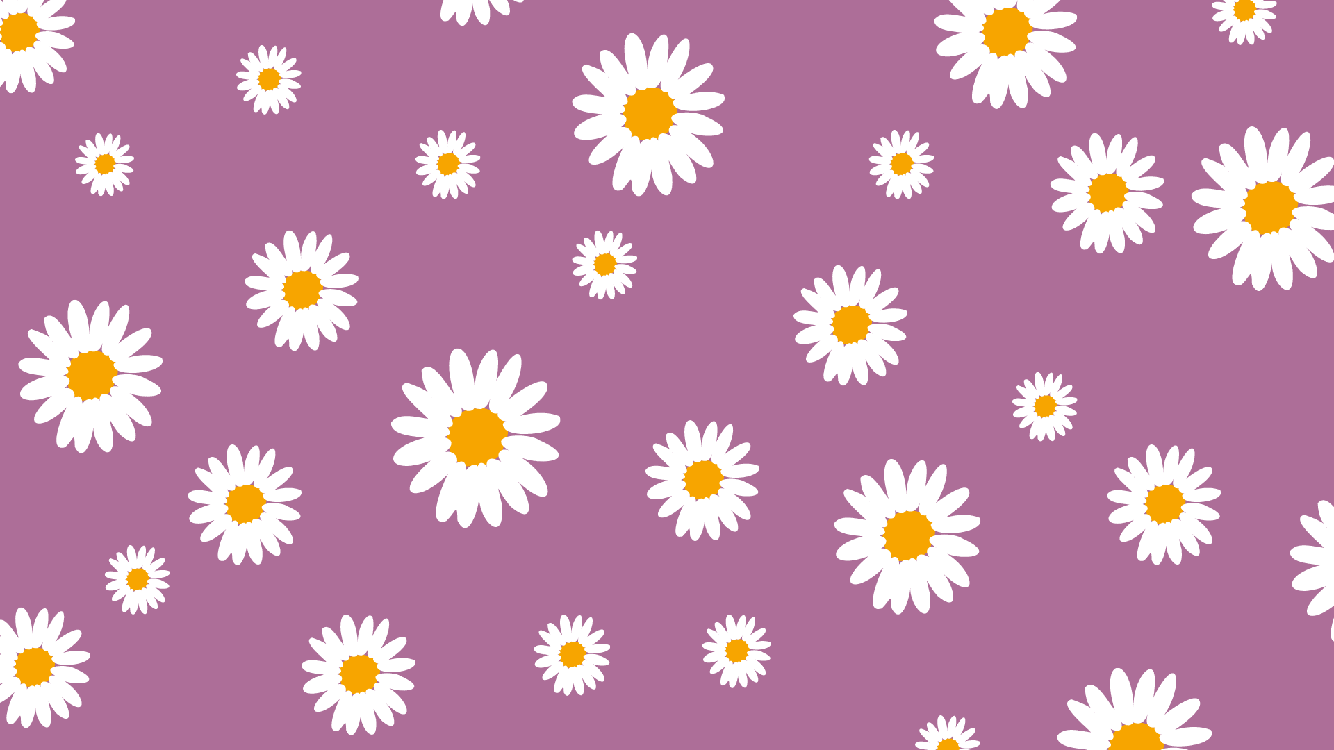 A pattern of white and yellow flowers on a purple background - Desktop, purple, cute