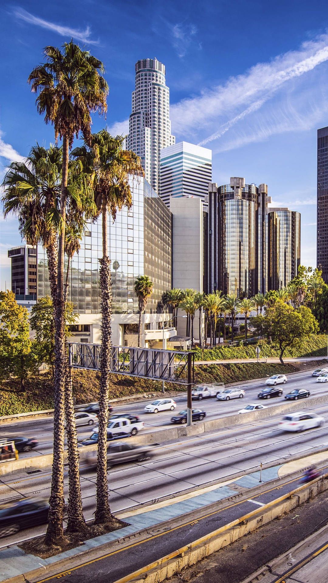 A city street with palm trees and tall buildings - Los Angeles